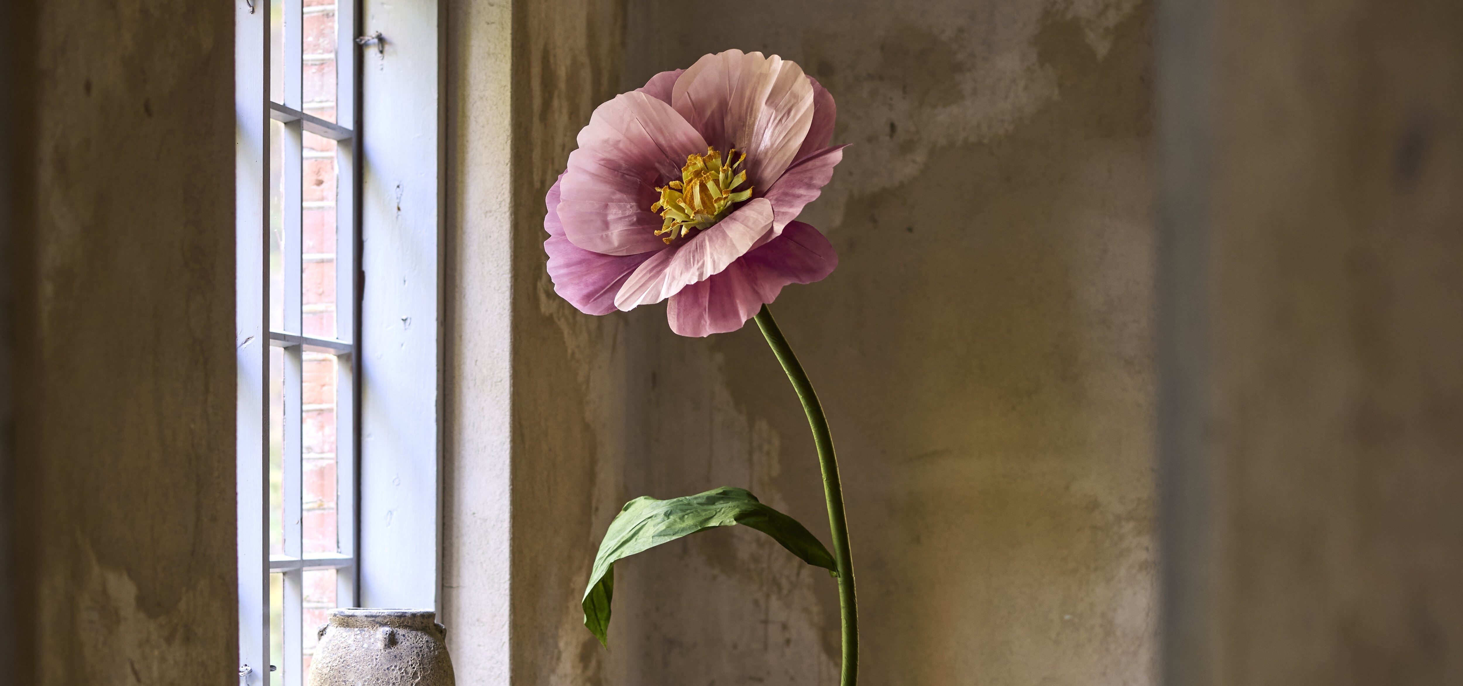 https://foretag.mrplant.se/pub_docs/files/Karriar.jpg