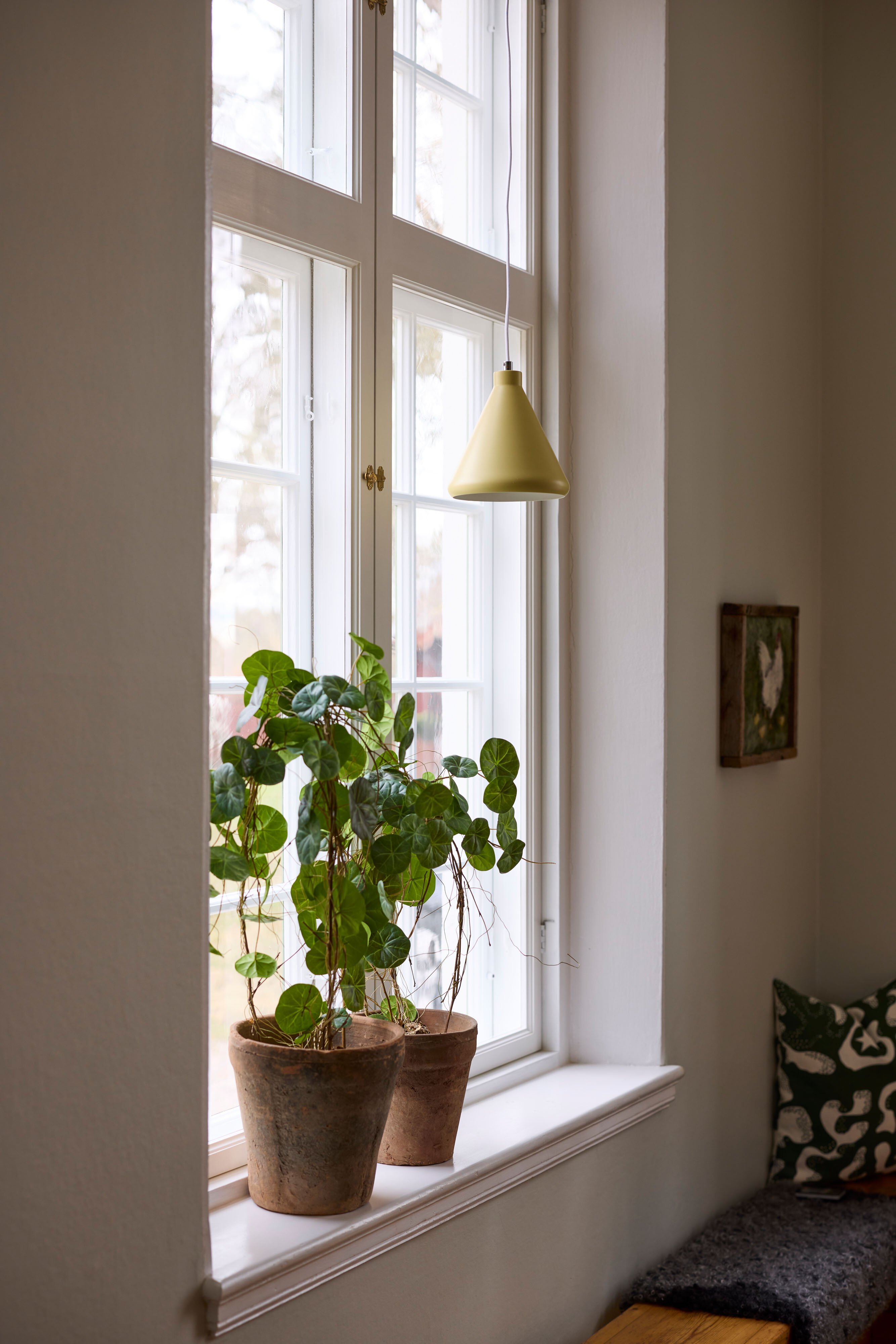https://foretag.mrplant.se/pub_docs/files/mfr_250408-0515.jpg