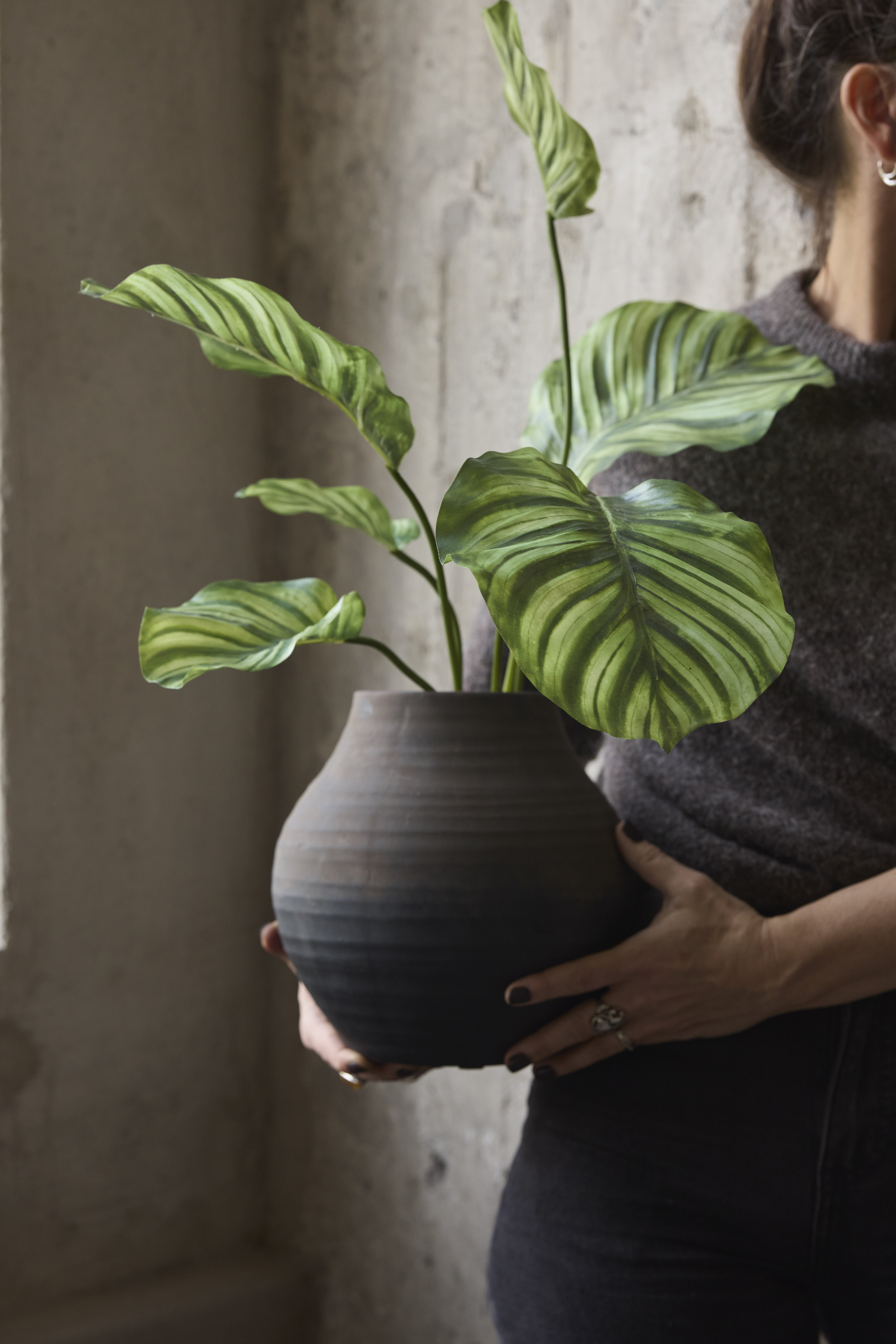 https://foretag.mrplant.se/pub_docs/files/mfr_250409-0575.jpg