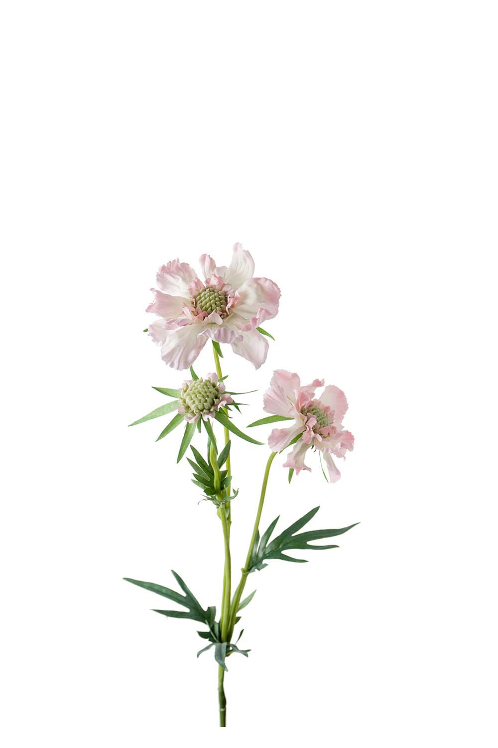 Konstgjord rosa Scabiosa 70cm