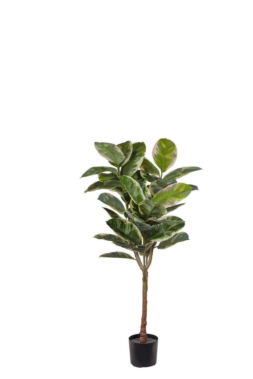 Konstgjord grön Fikus Elastica 150cm