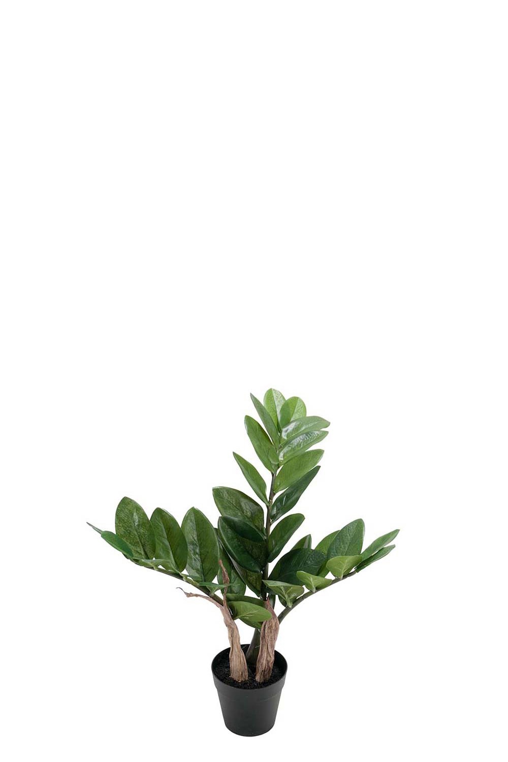 Konstgjord grön Zamifolia 45cm