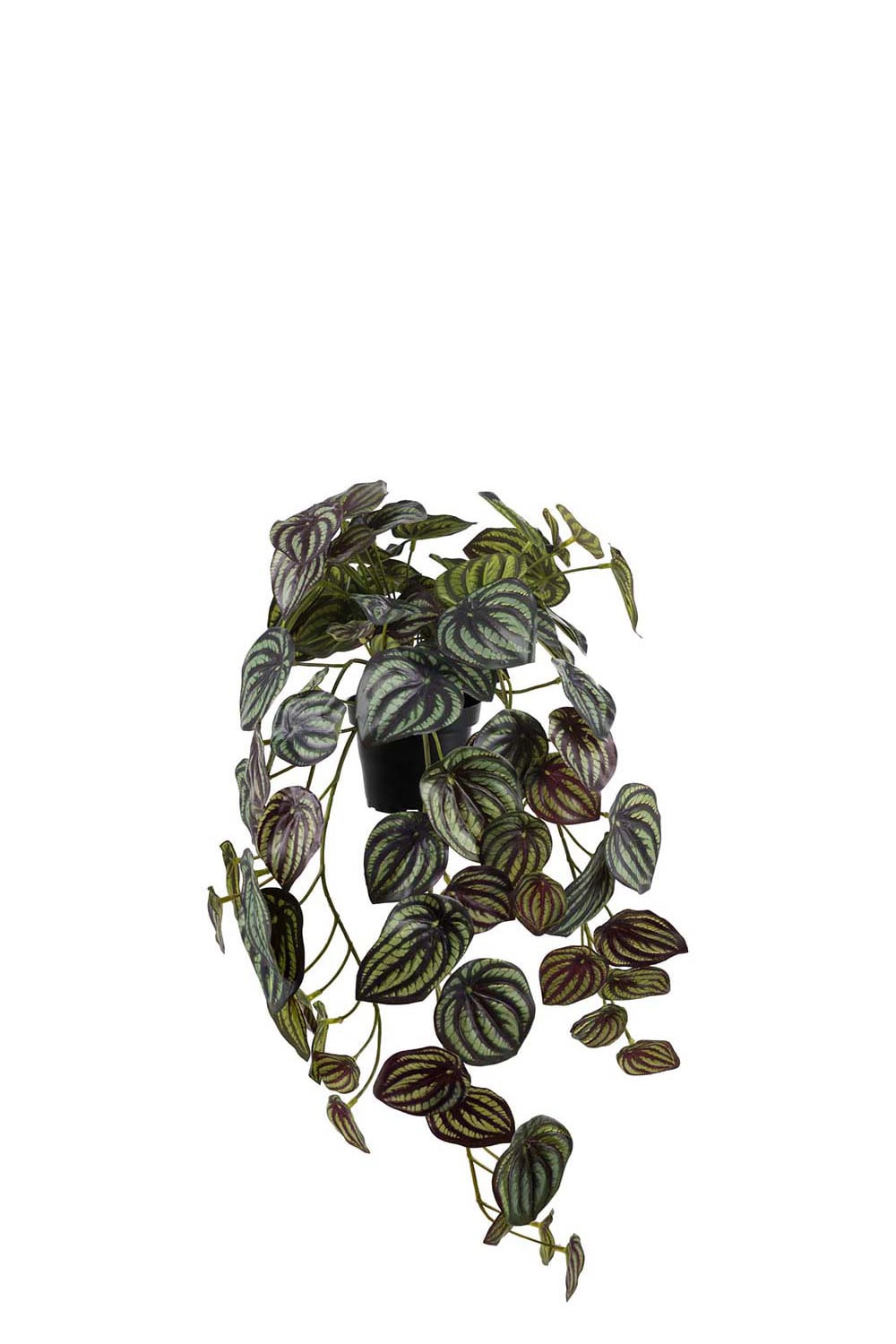 Konstgjord grön Peperomia 20cm