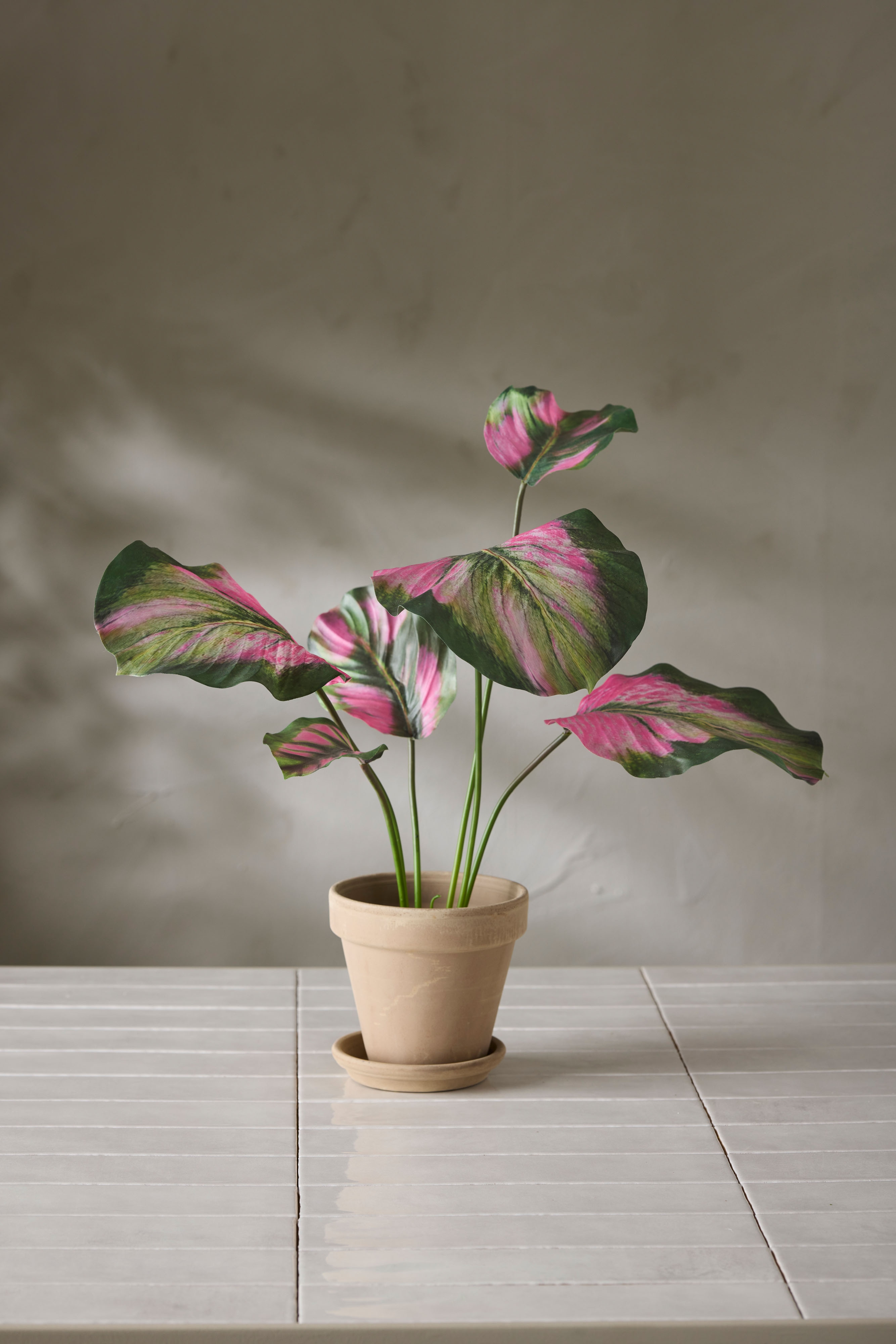 Konstgjord grön Calathea 55cm
