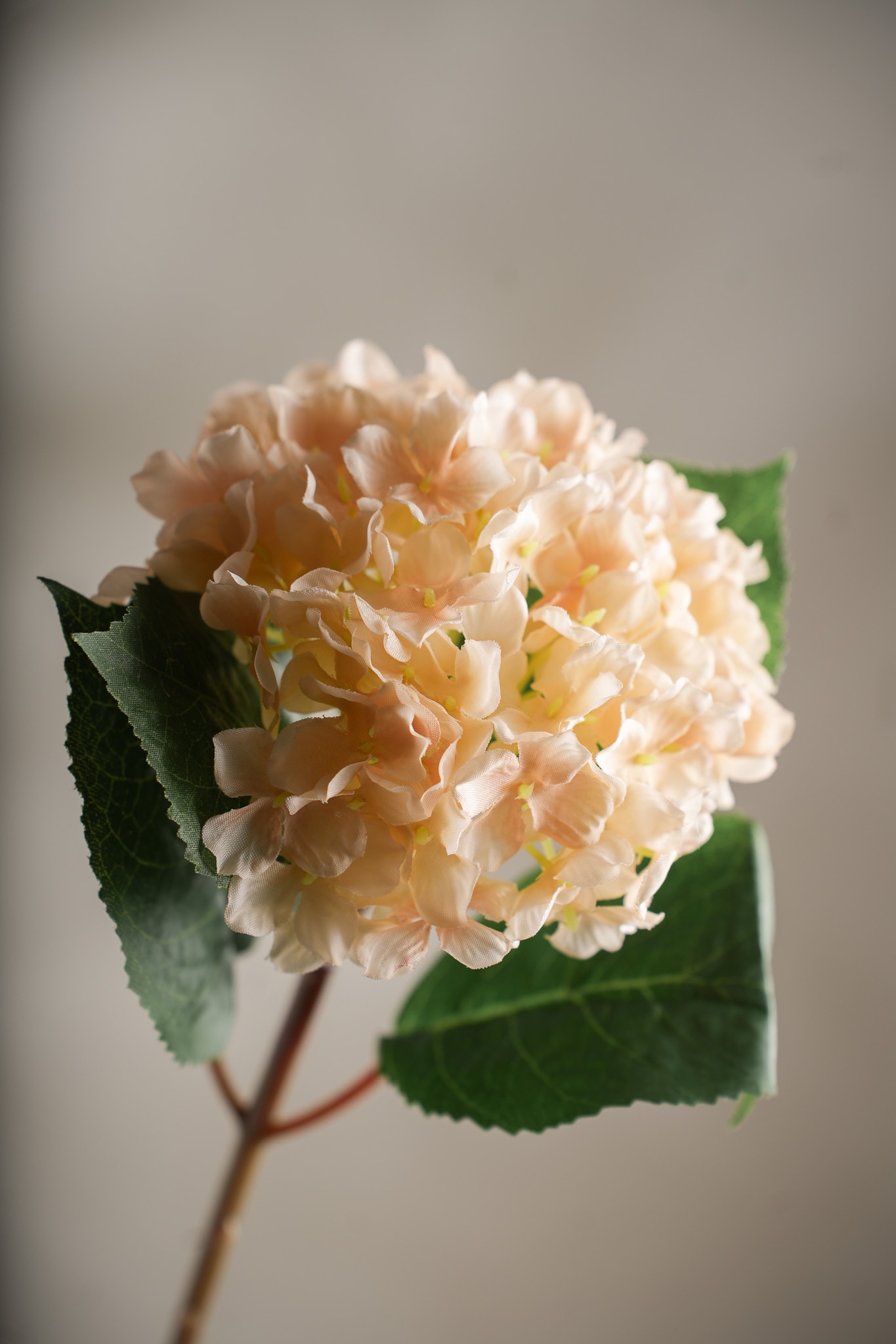Konstgjord cremefärgad Hortensia 40cm