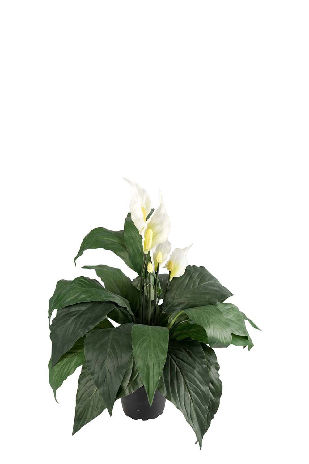 Konstgjord vit Spathifyllum 40cm