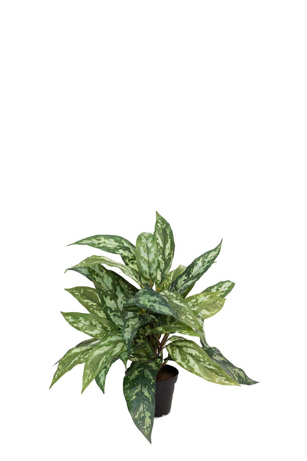 Konstgjord grön Aglonema 35cm