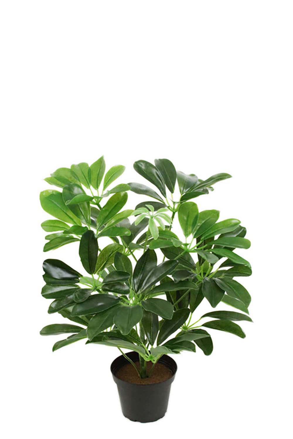 Konstgjord grön Schefflera 40cm