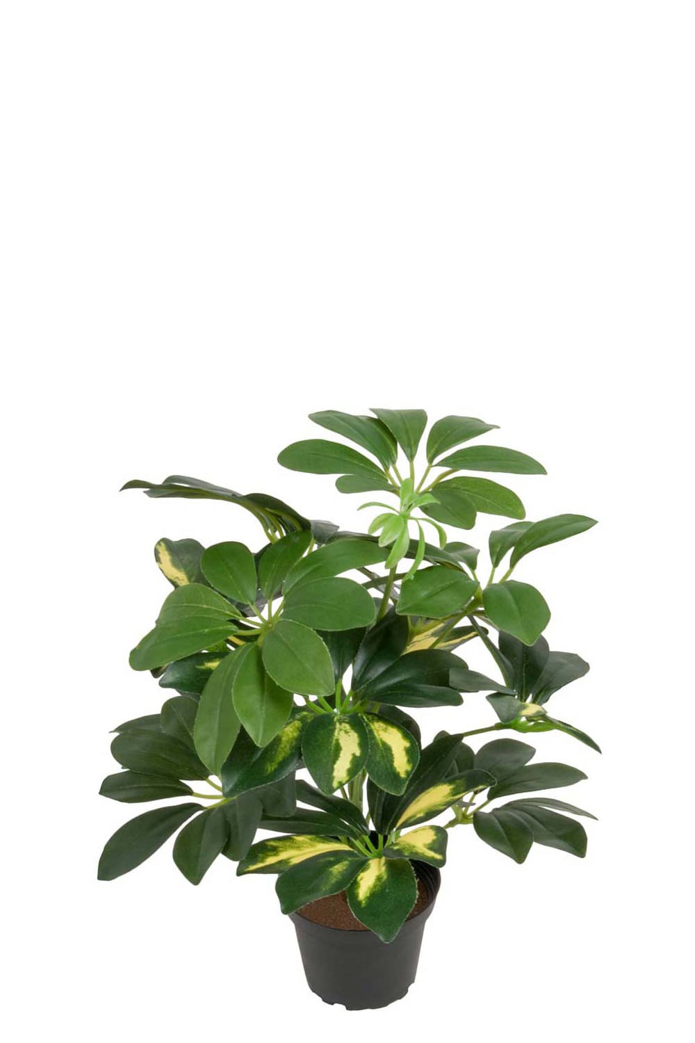Konstgjord grön Schefflera 40cm