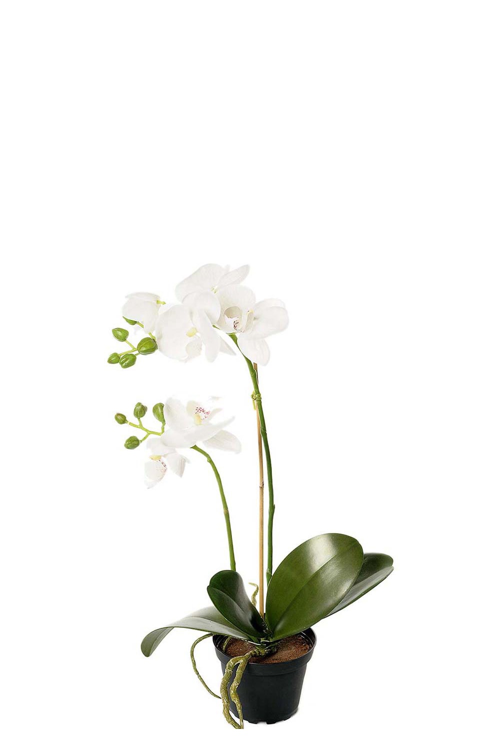Konstgjord vit Phalaenopsis 45cm