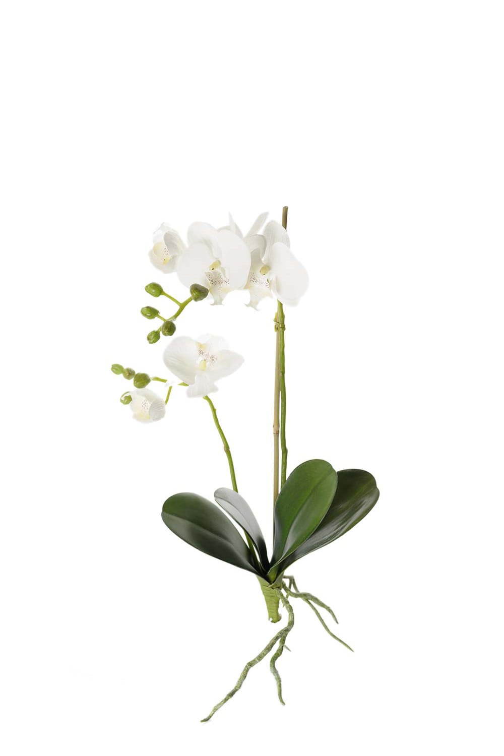 Konstgjord vit Phalaenopsis 45cm
