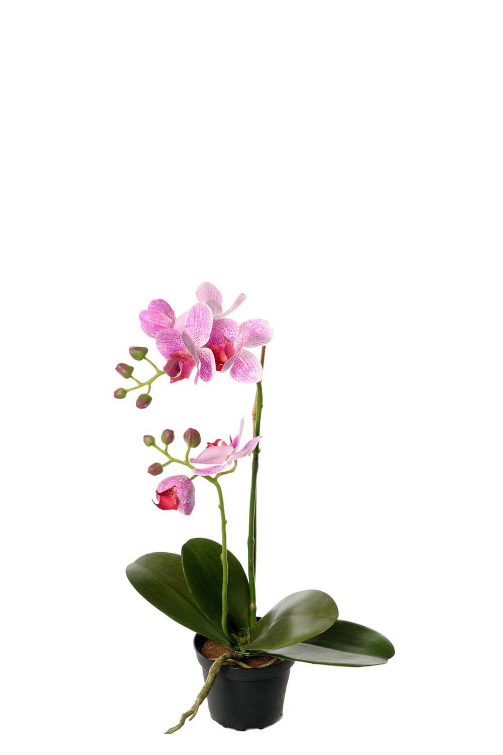 Konstgjord lila Phalaenopsis 45cm