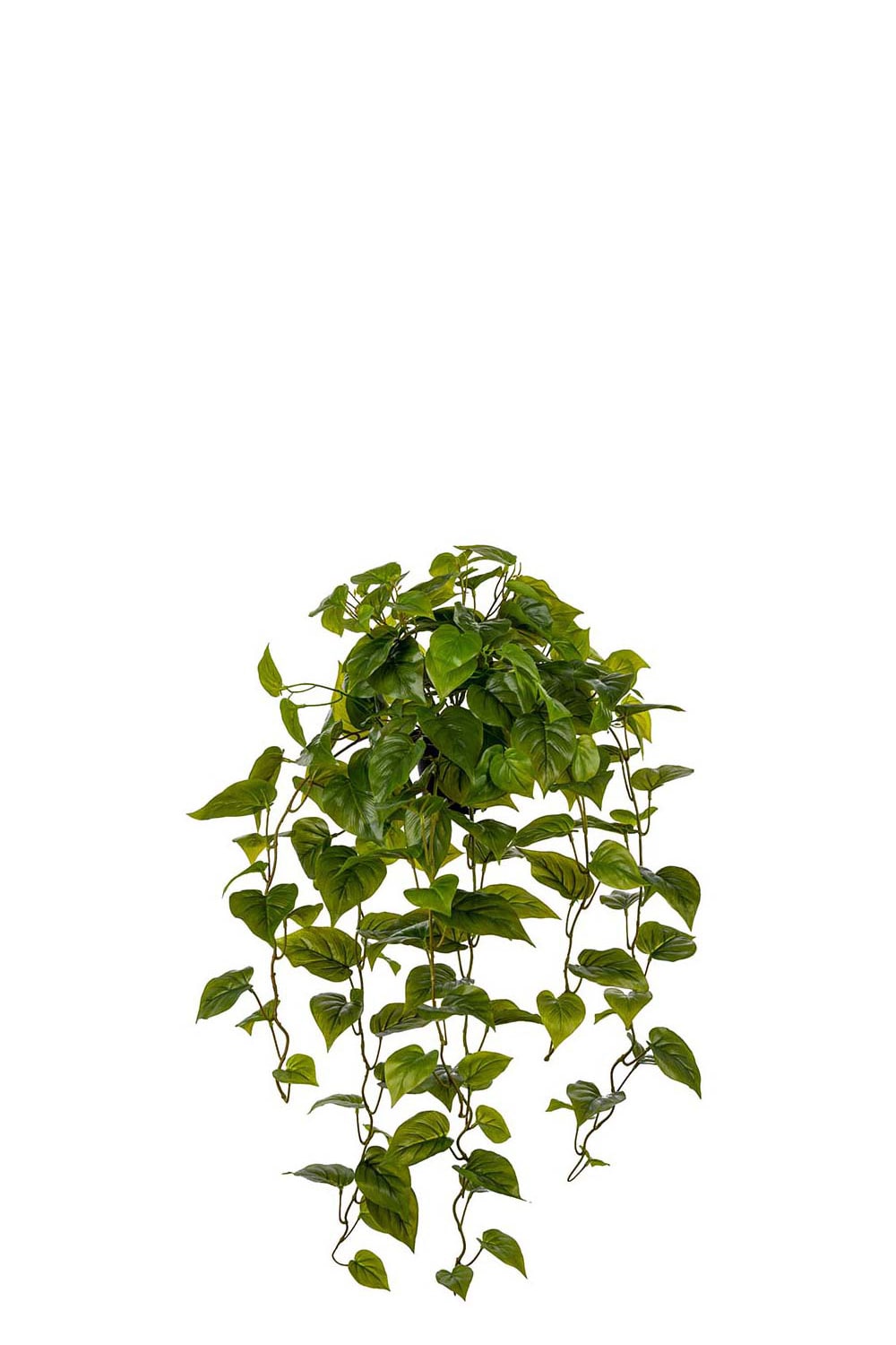 Konstgjord grön Gullranka 30cm