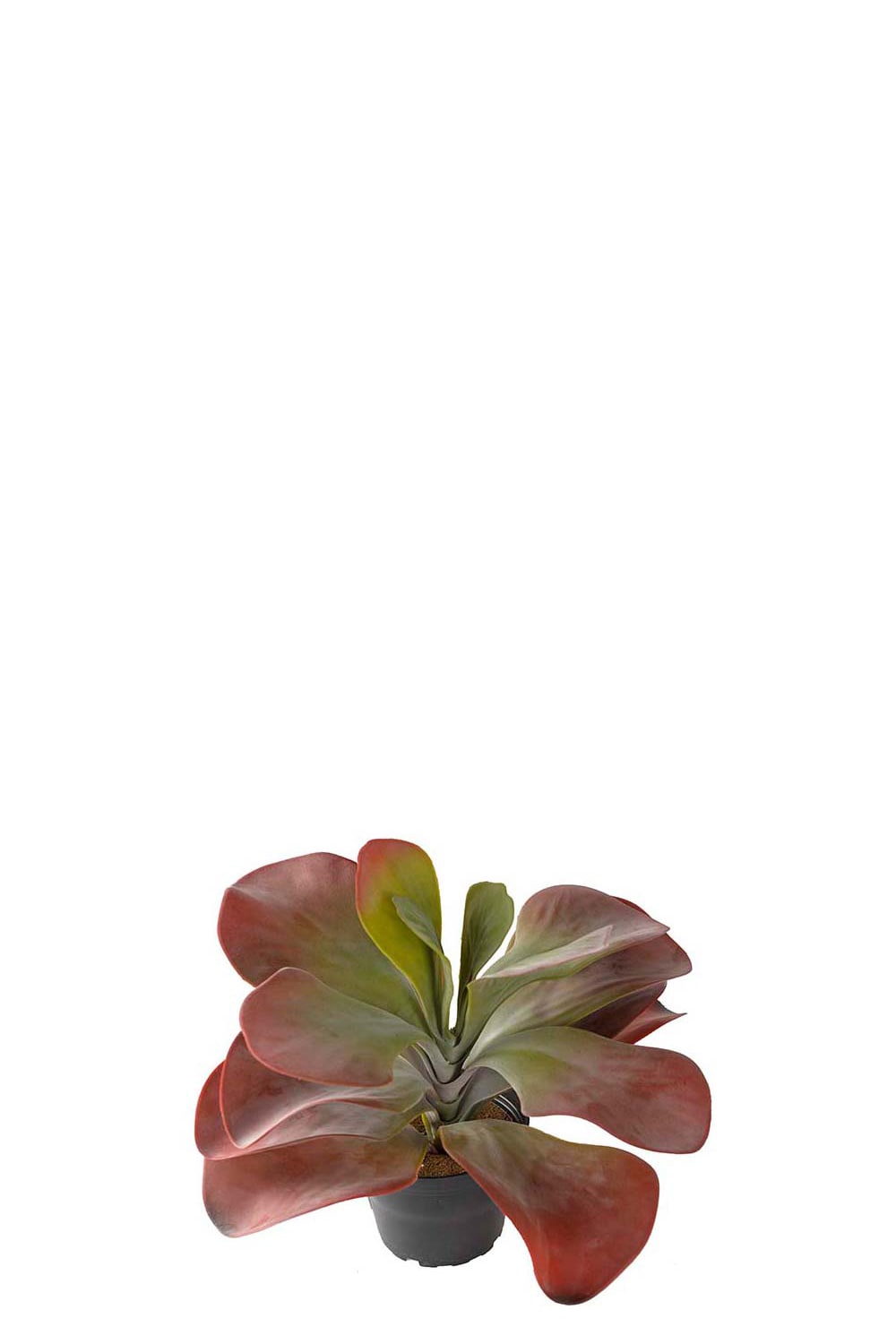 Konstgjord burgundy Kalanchoe 25cm