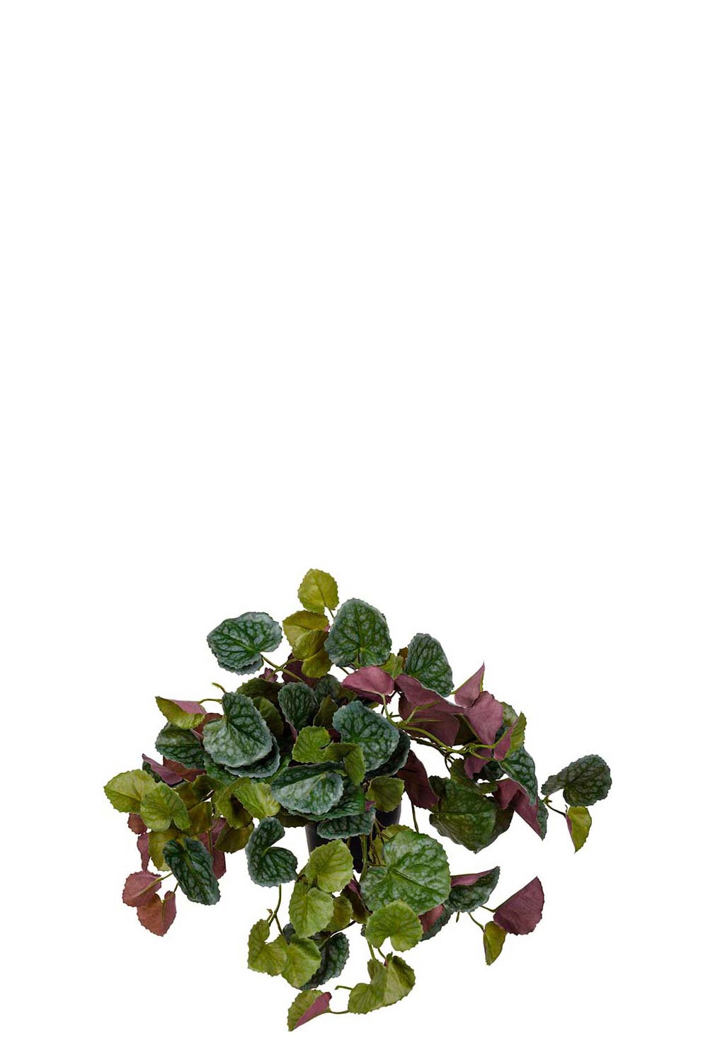 Konstgjord grön Senecio 23cm