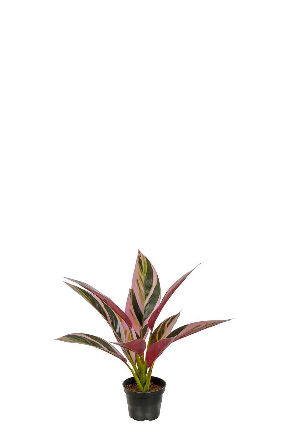 Konstgjord grön Cordyline 38cm