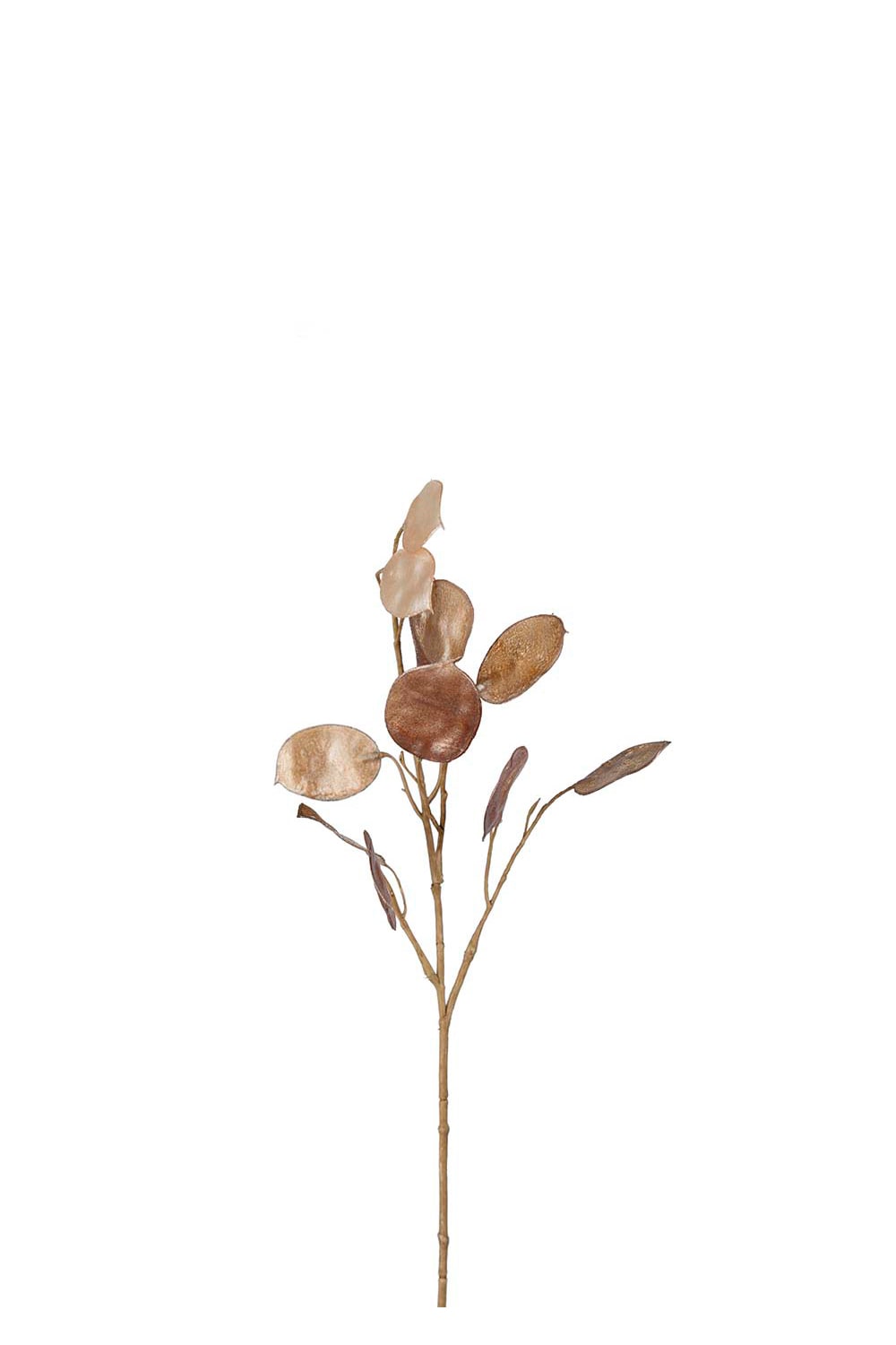 Konstgjord brun Lunaria 55cm
