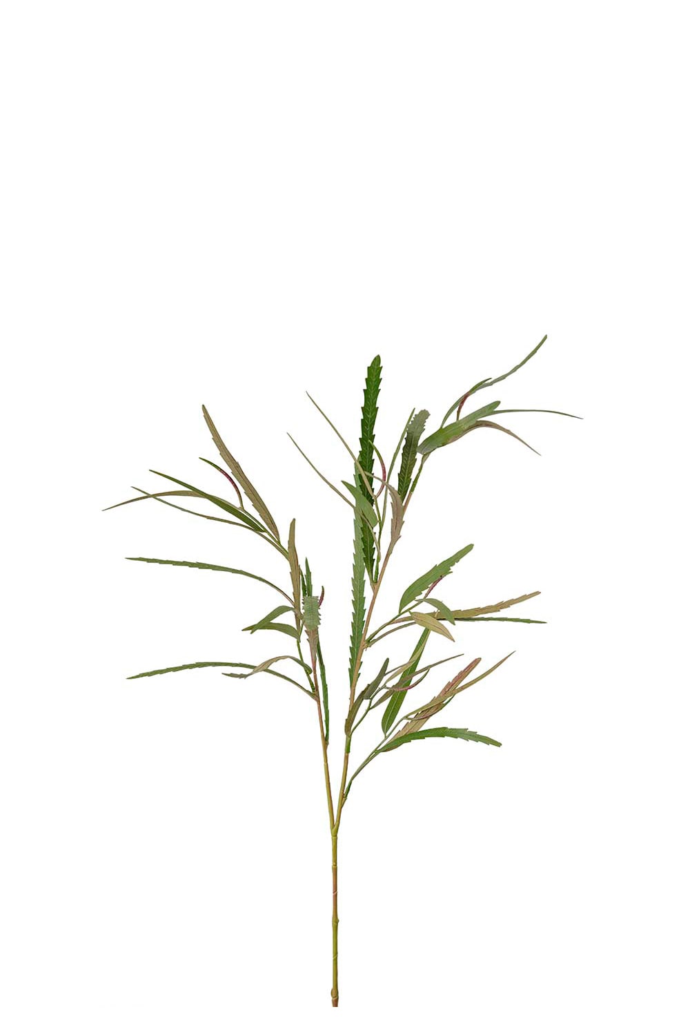 Konstgjord grön Grevillea 95cm