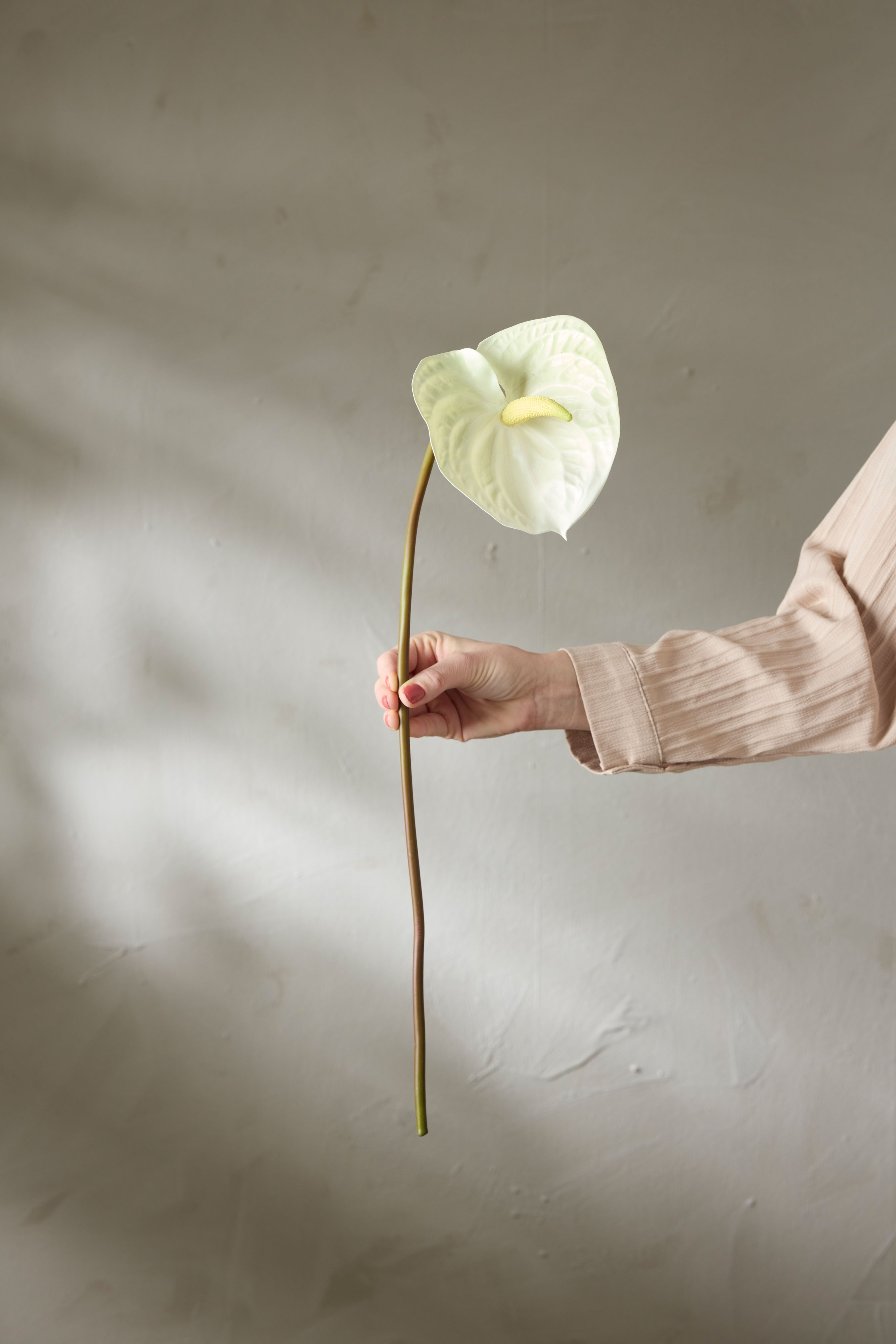 Konstgjord vit Anthurium 70cm