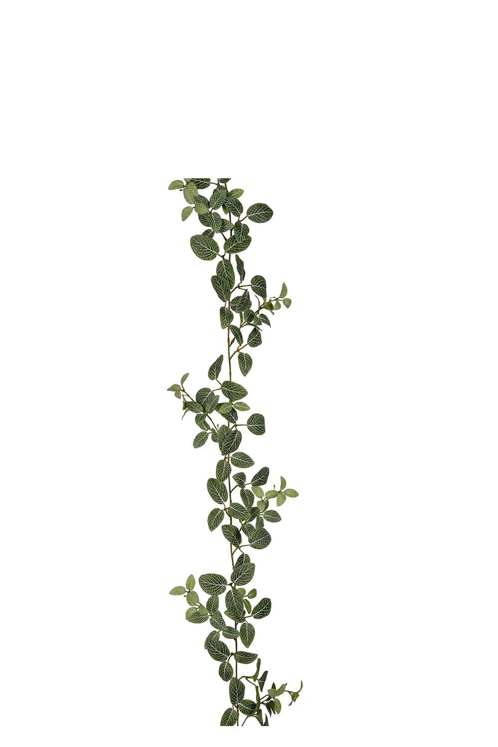 Konstgjord grön Fittonia girlang 180cm