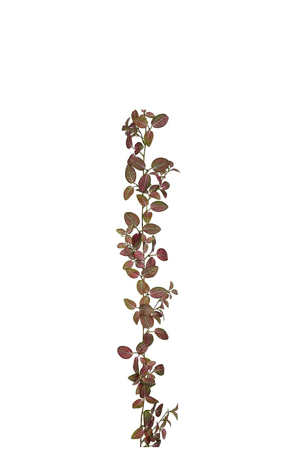 Konstgjord rosa Fittonia girlang 180cm