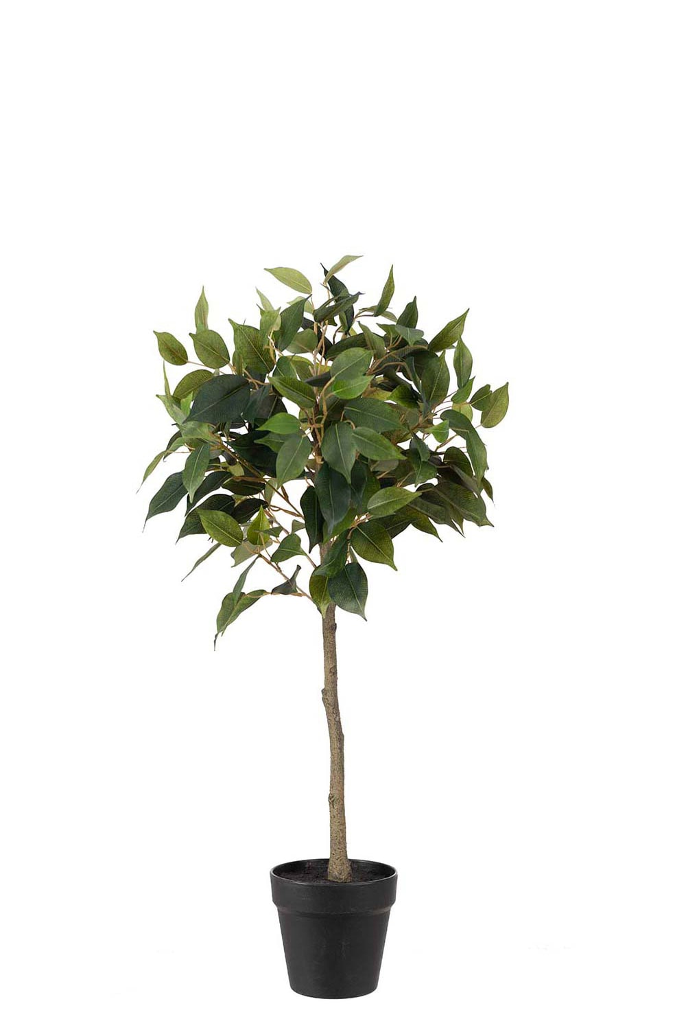 Konstgjord grön Fikus Benjamin 75cm