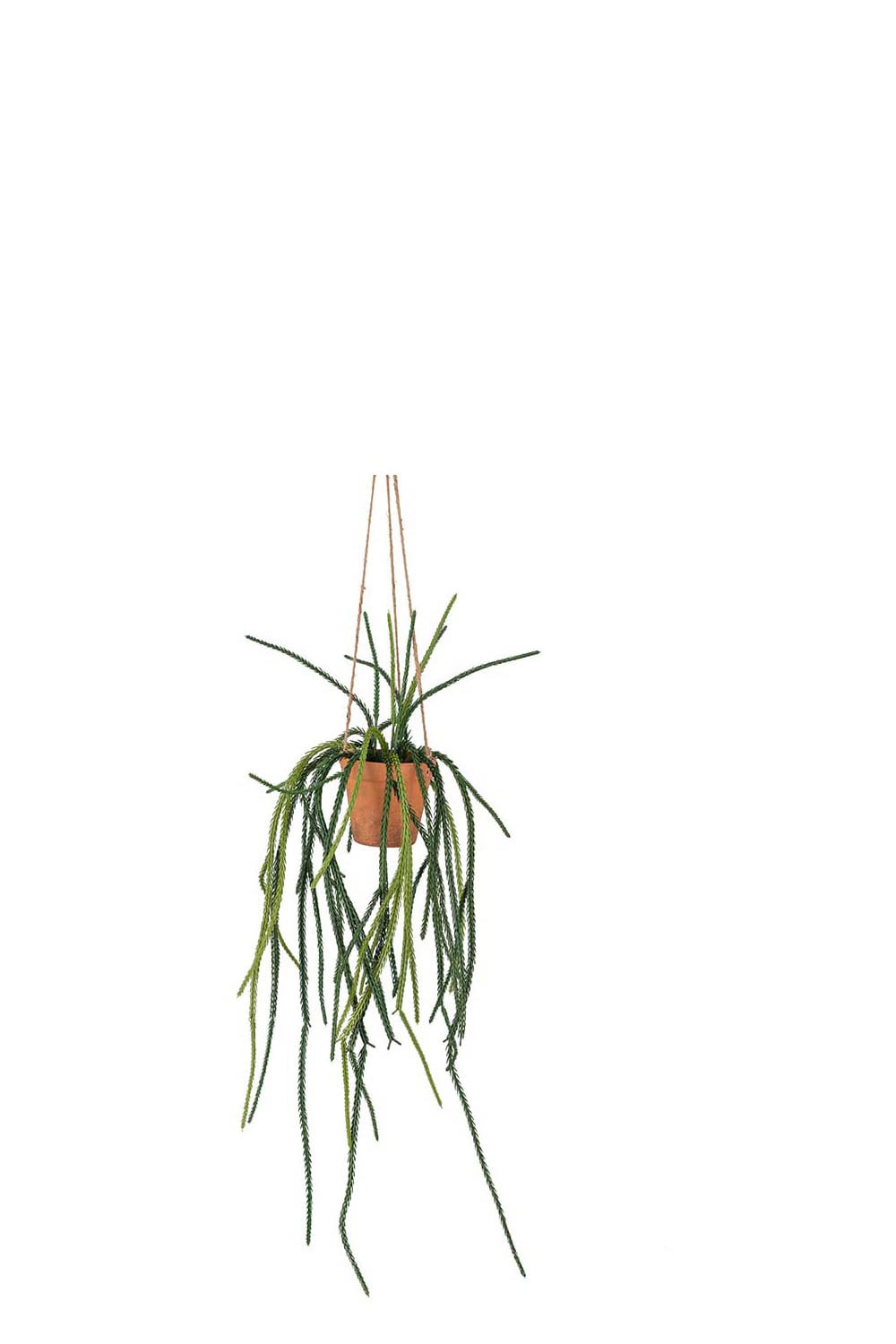 Konstgjord grön Senecio 25cm