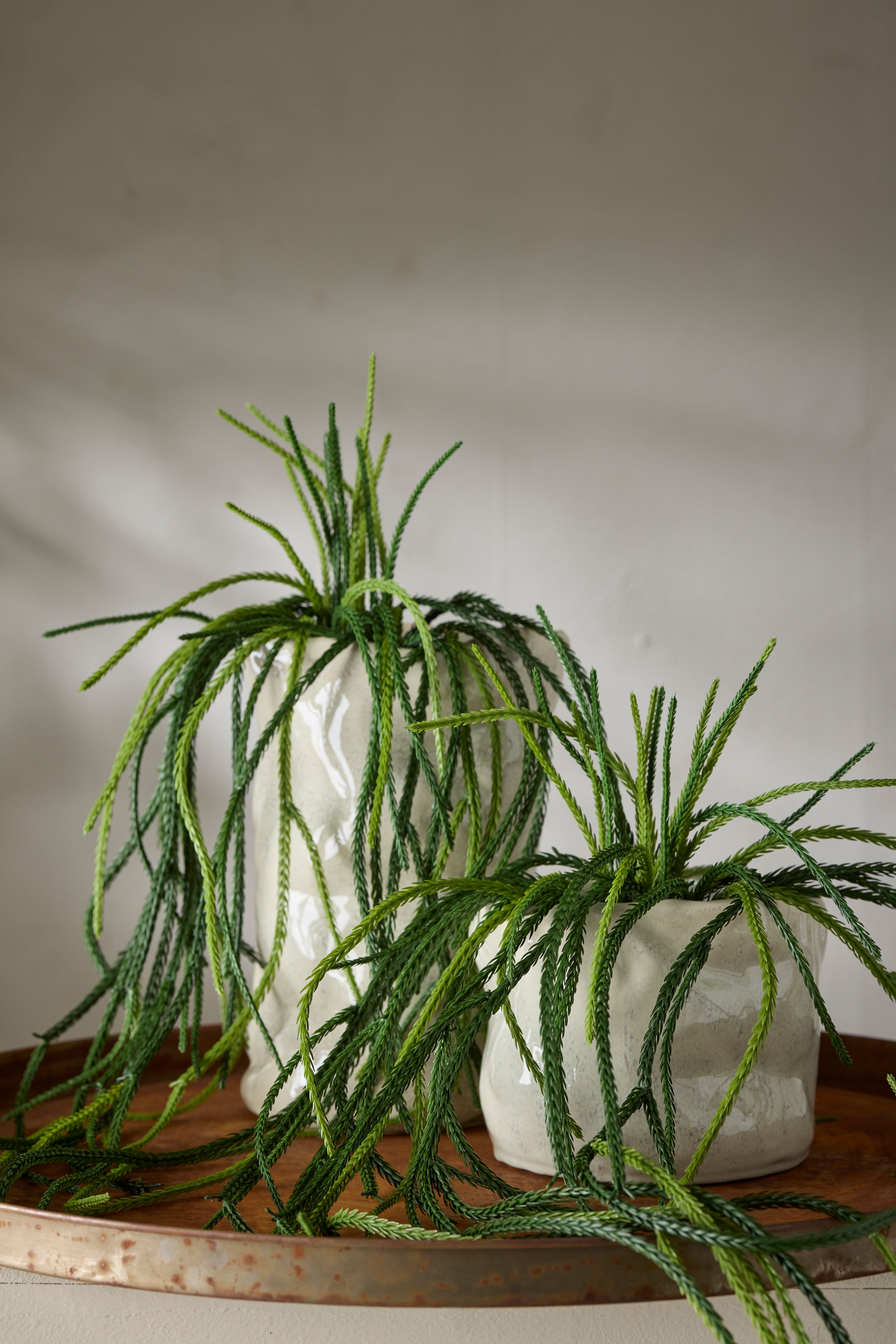 Konstgjord grön Senecio 25cm