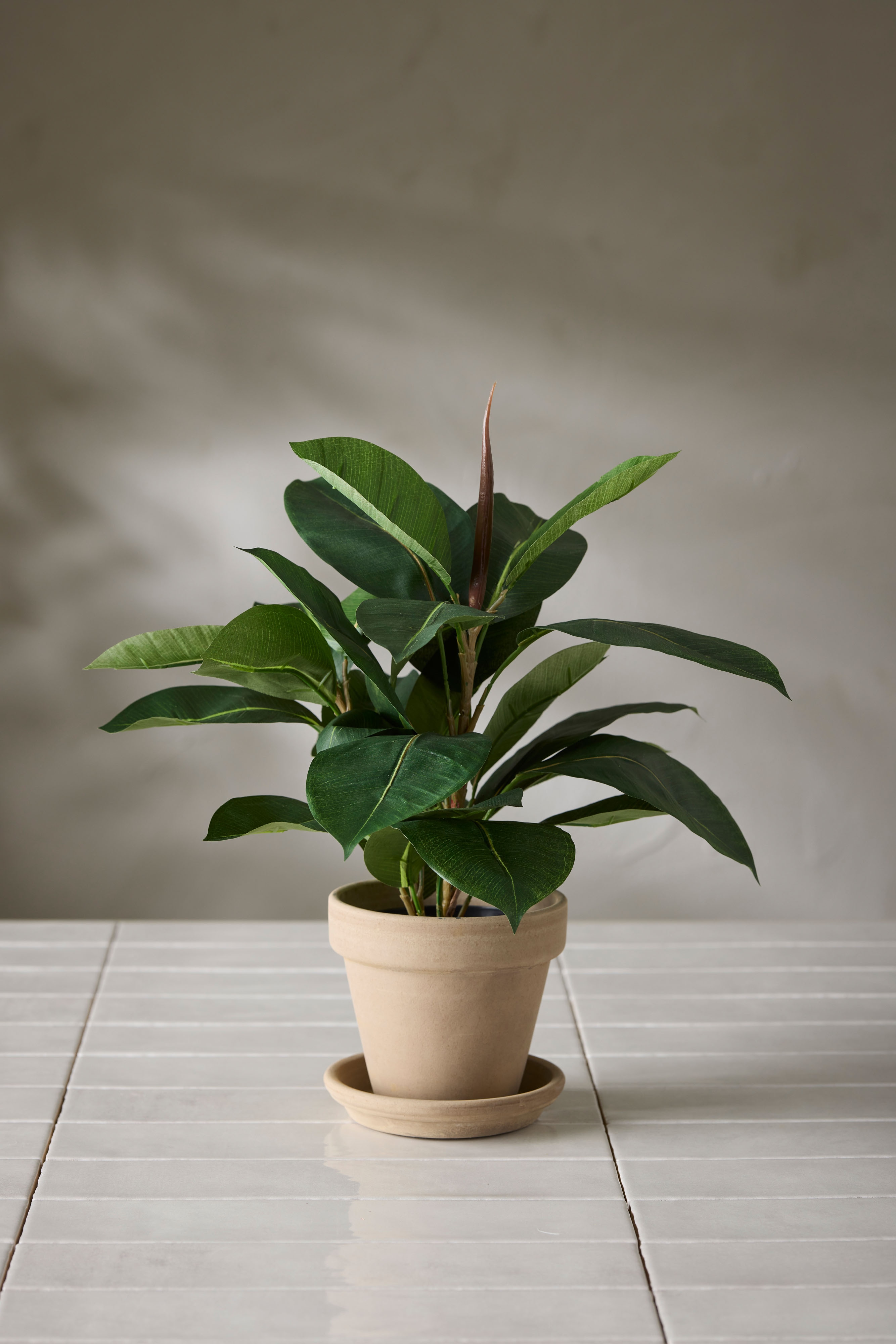 Konstgjord grön Fikus Robusta 37cm