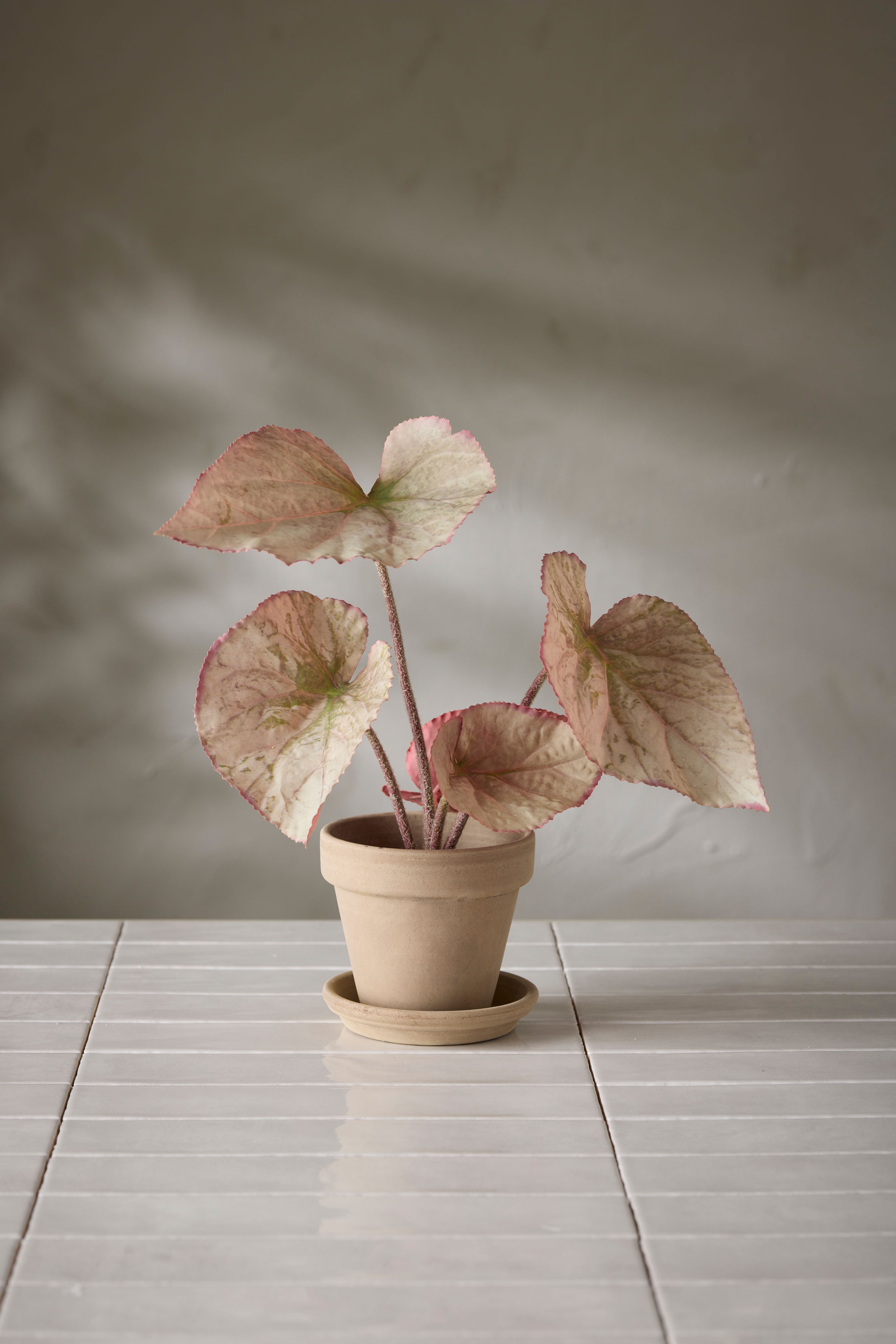 Konstgjord flerfärgad Rexbegonia 35cm