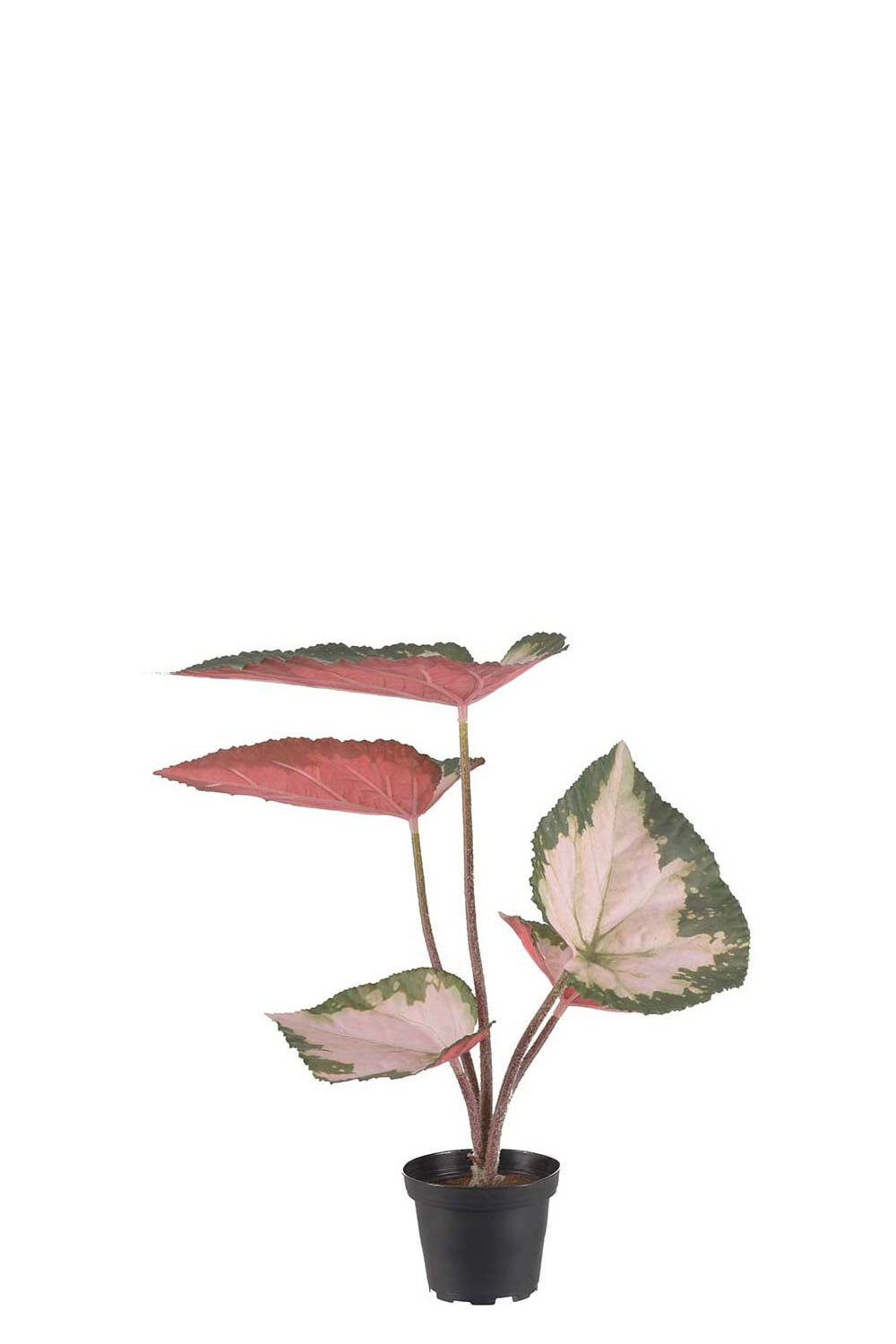 Konstgjord flerfärgad Rexbegonia 35cm