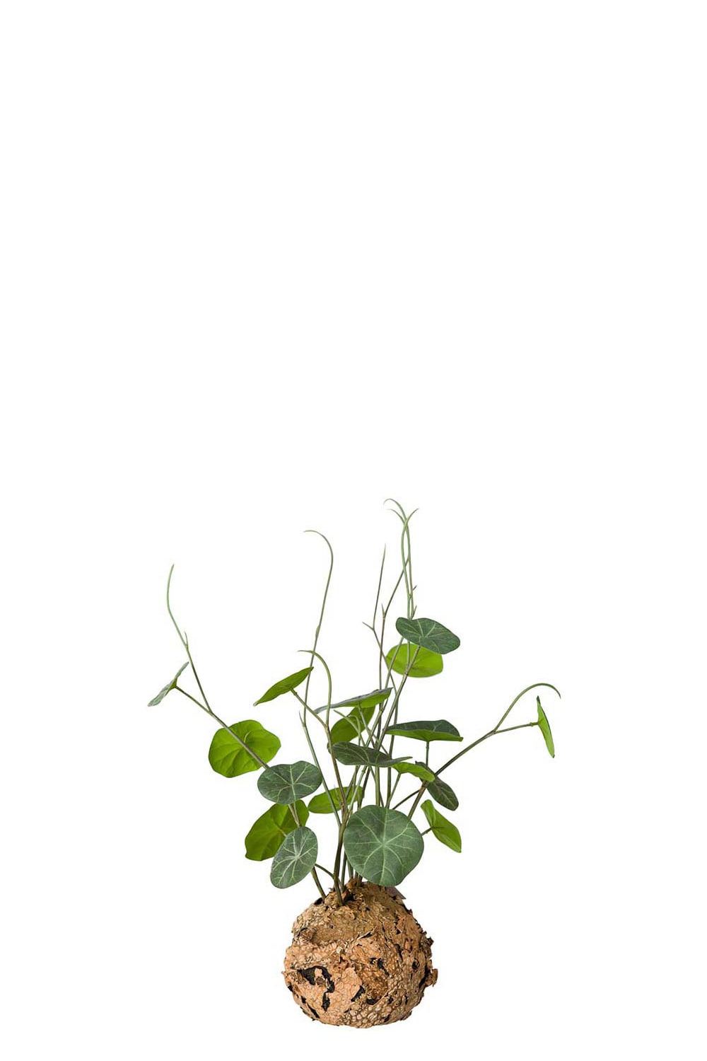 Konstgjord grön Stephania 45cm