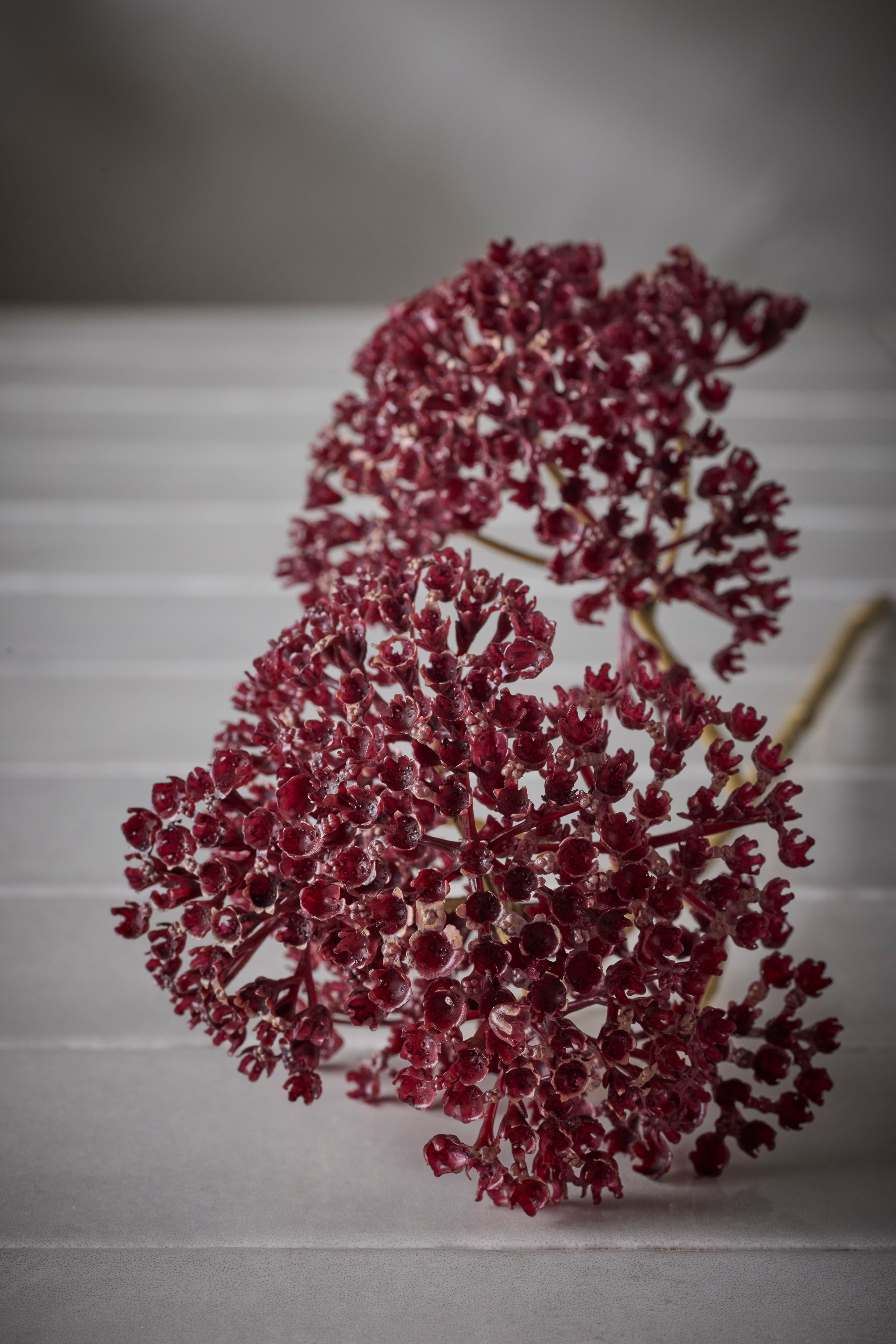 Konstgjord burgundy Röllika 50cm
