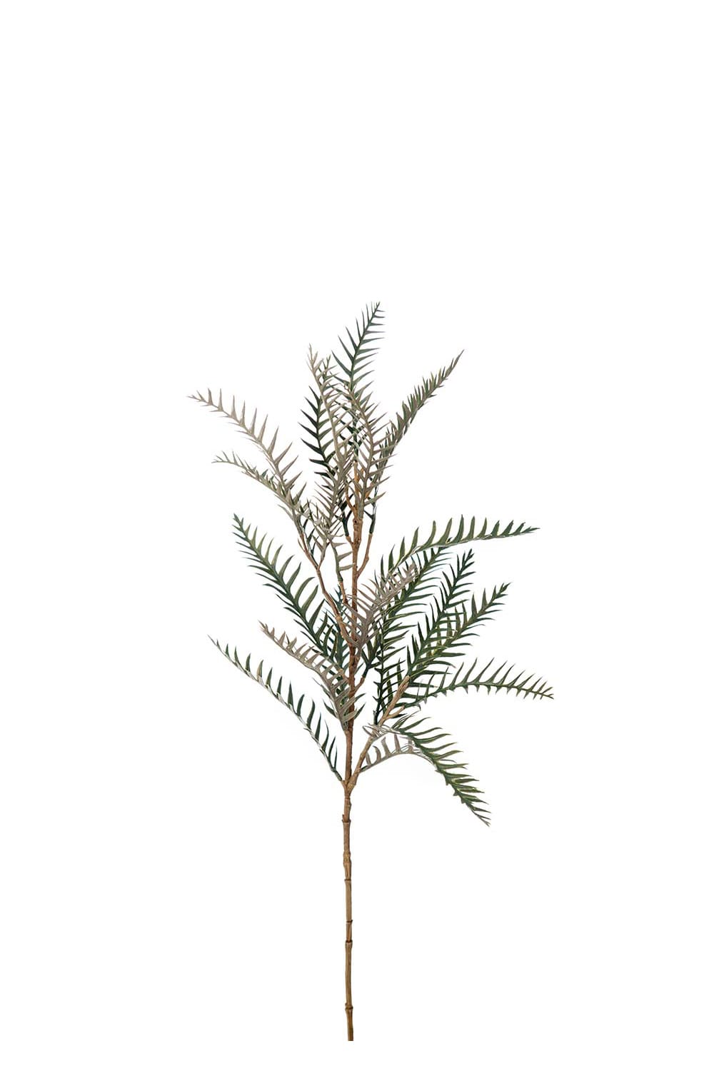 Konstgjord grön Grevillea 75cm