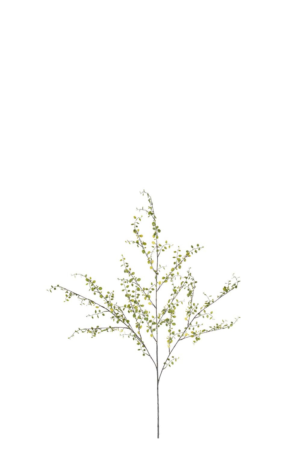 Konstgjord grön Muehlenbeckia 100cm