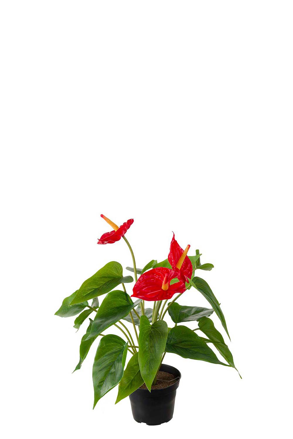 Konstgjord röd Anthurium 35cm