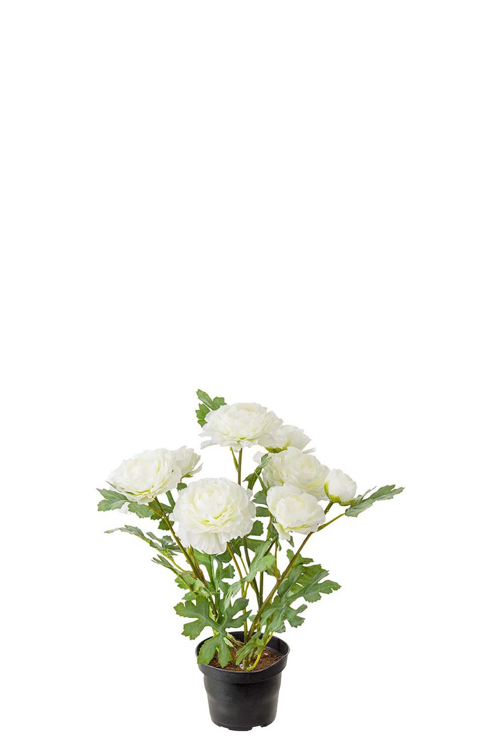 Konstgjord vit Ranuncel 30cm