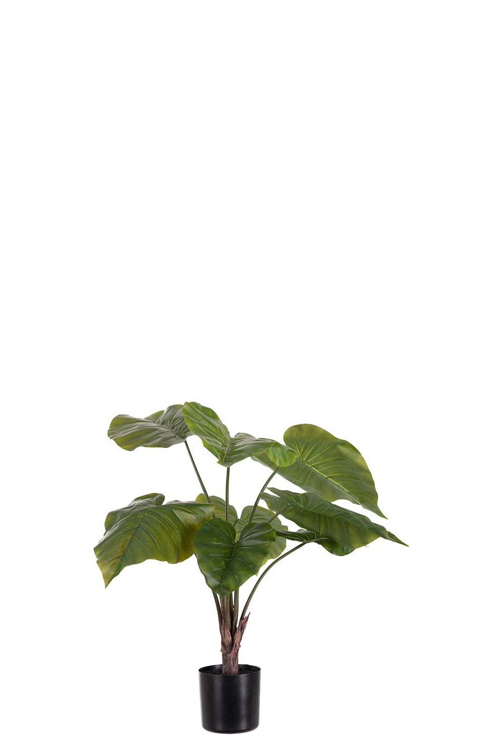 Konstgjord grön Alocasia i kruka 60cm