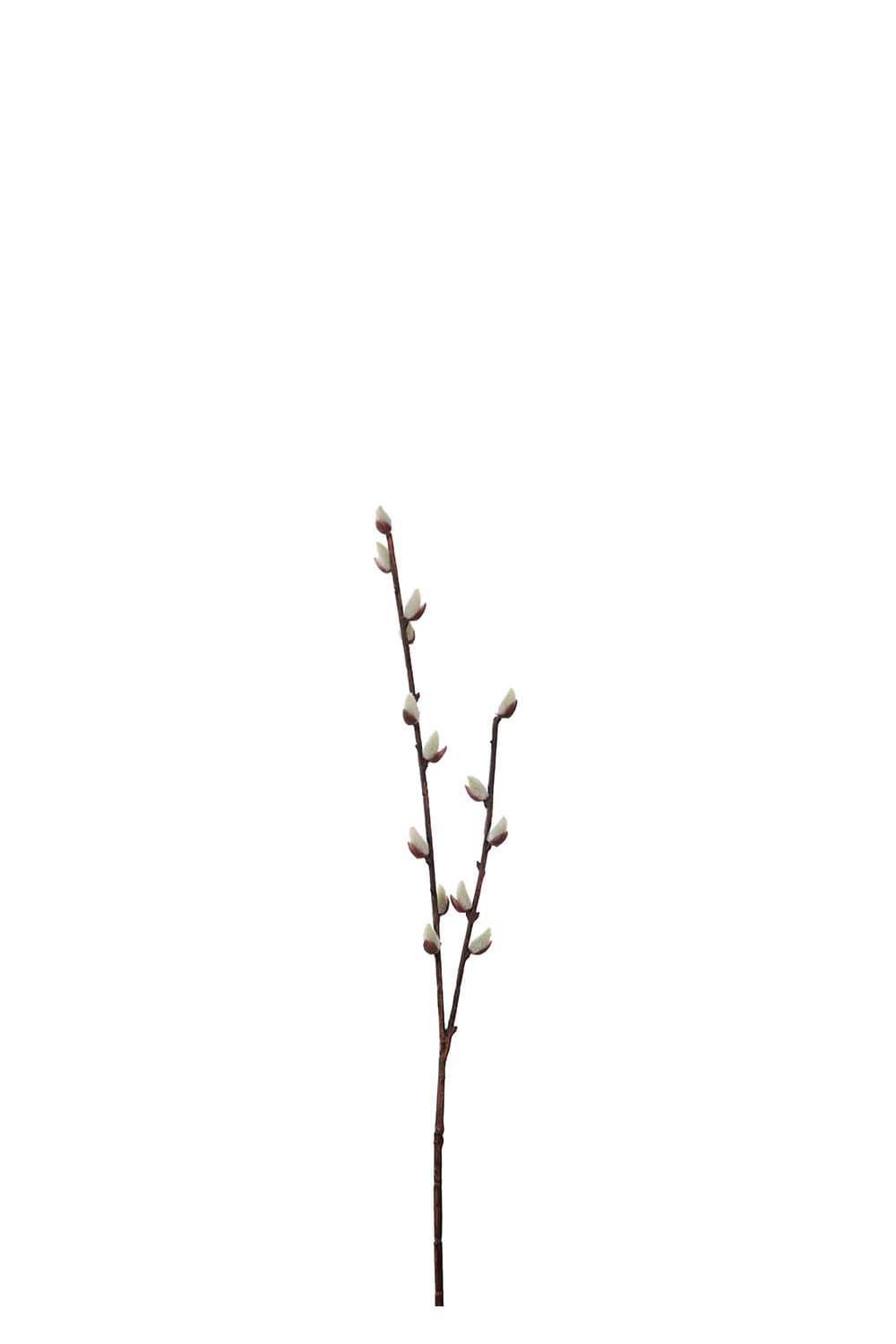 Konstgjord brun Vide 57cm