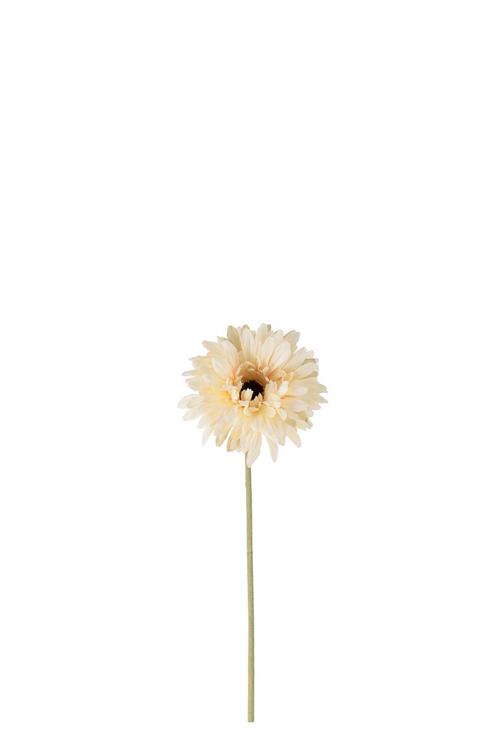Konstgjord cremefärgad Gerbera 55cm