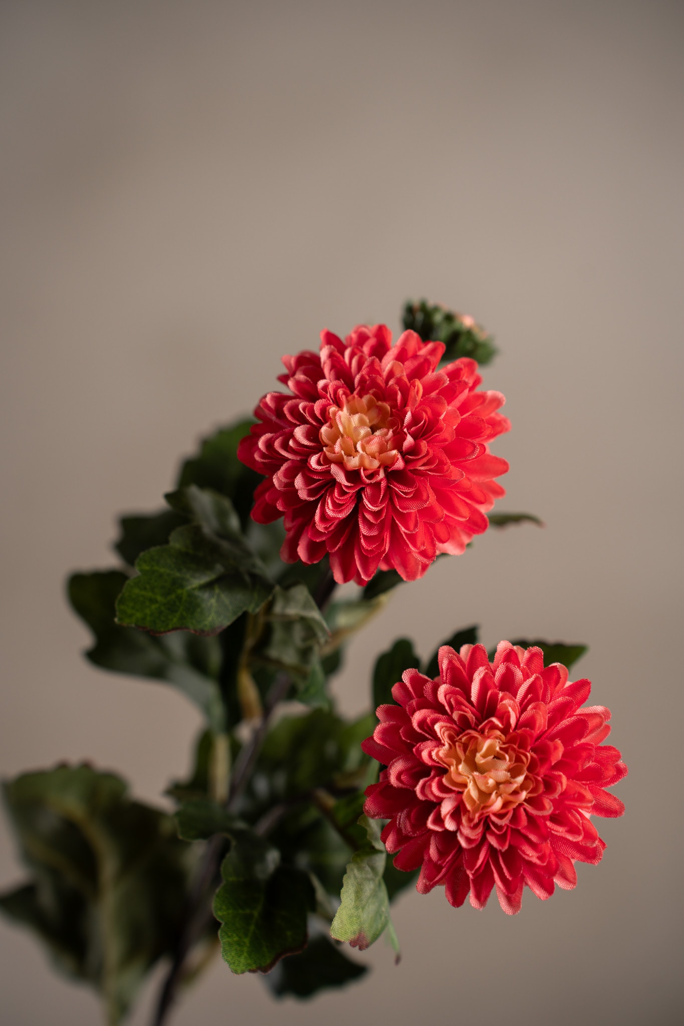 Konstgjord rosa Chrysanthemum 55cm