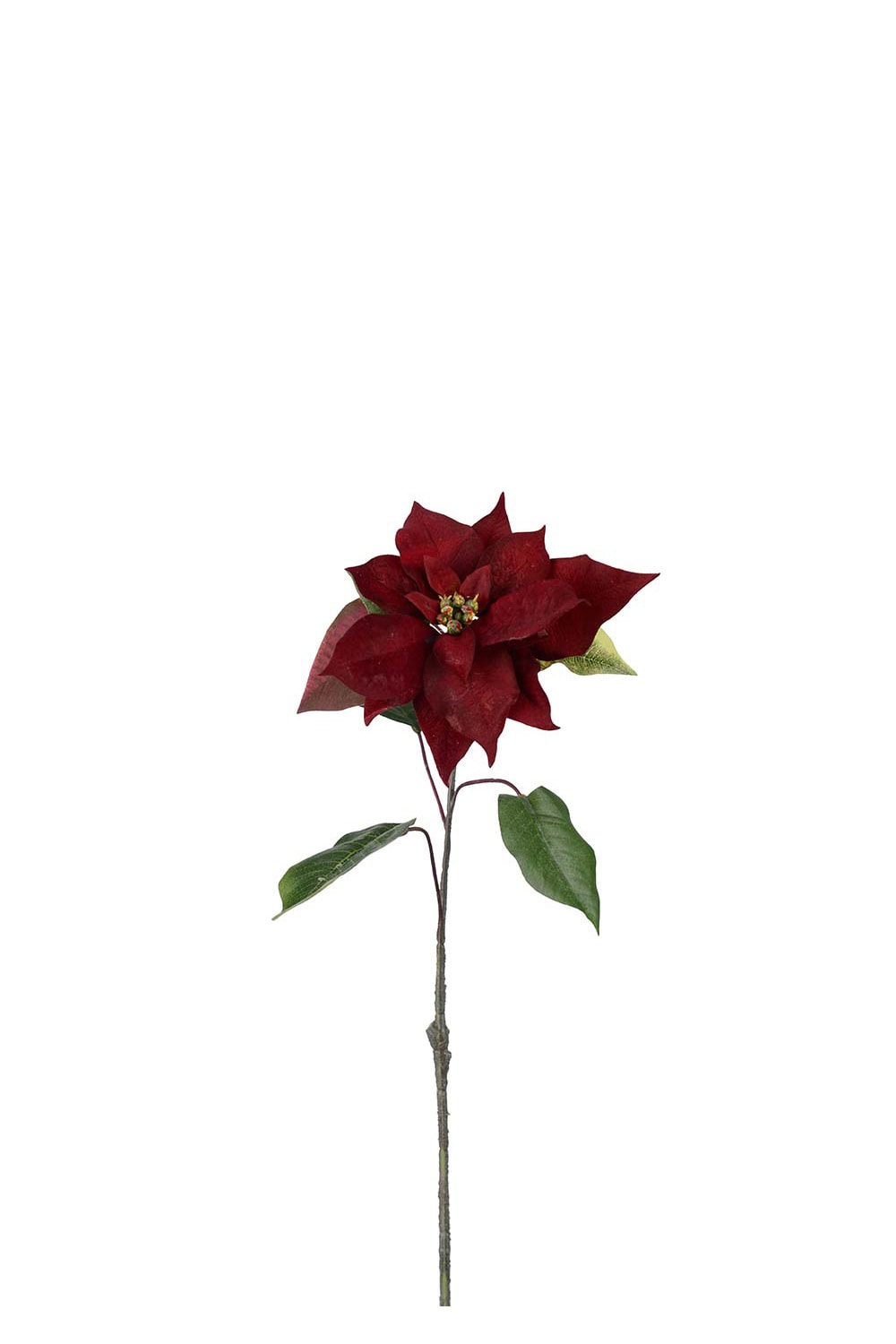 Burgundyfärgad konstgjord julstjärna, 50cm