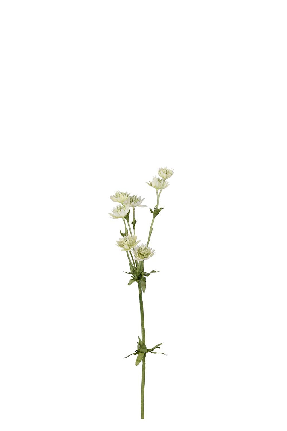 Konstgjord grön Stjärnflocka 55cm