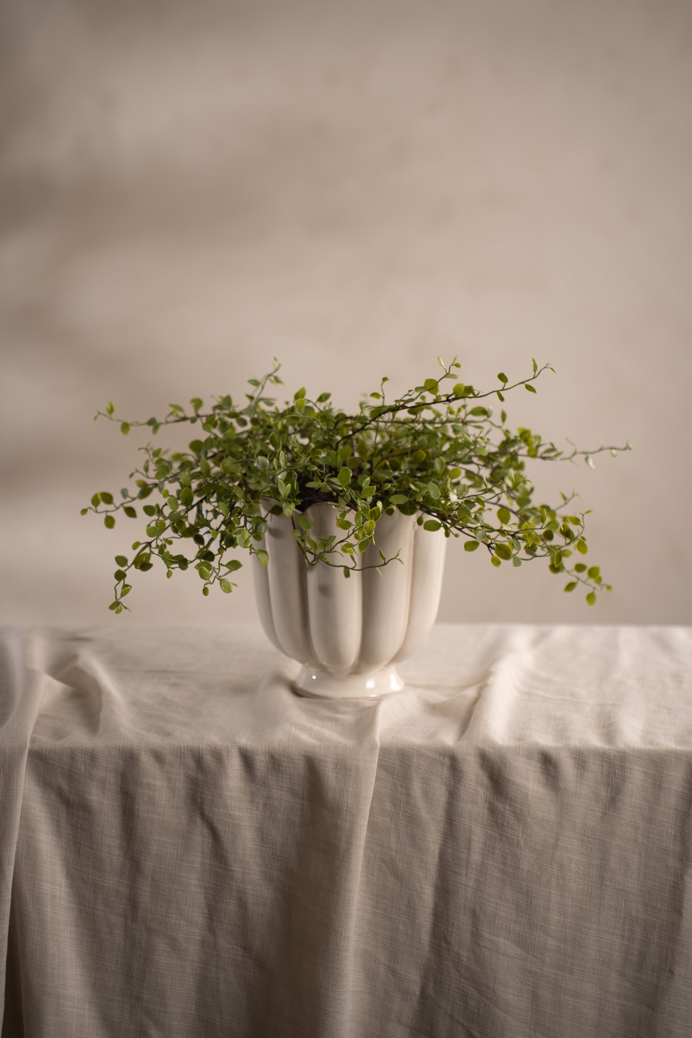 Konstgjord grön Muehlenbeckia 25cm