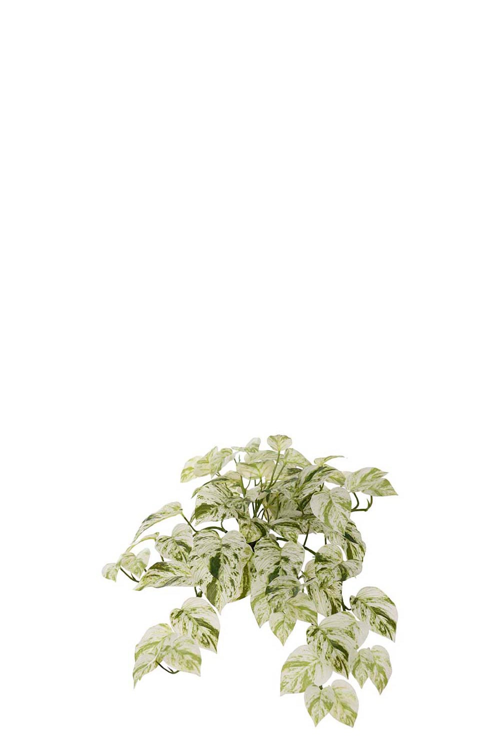 Konstgjord grön Gullranka 28cm