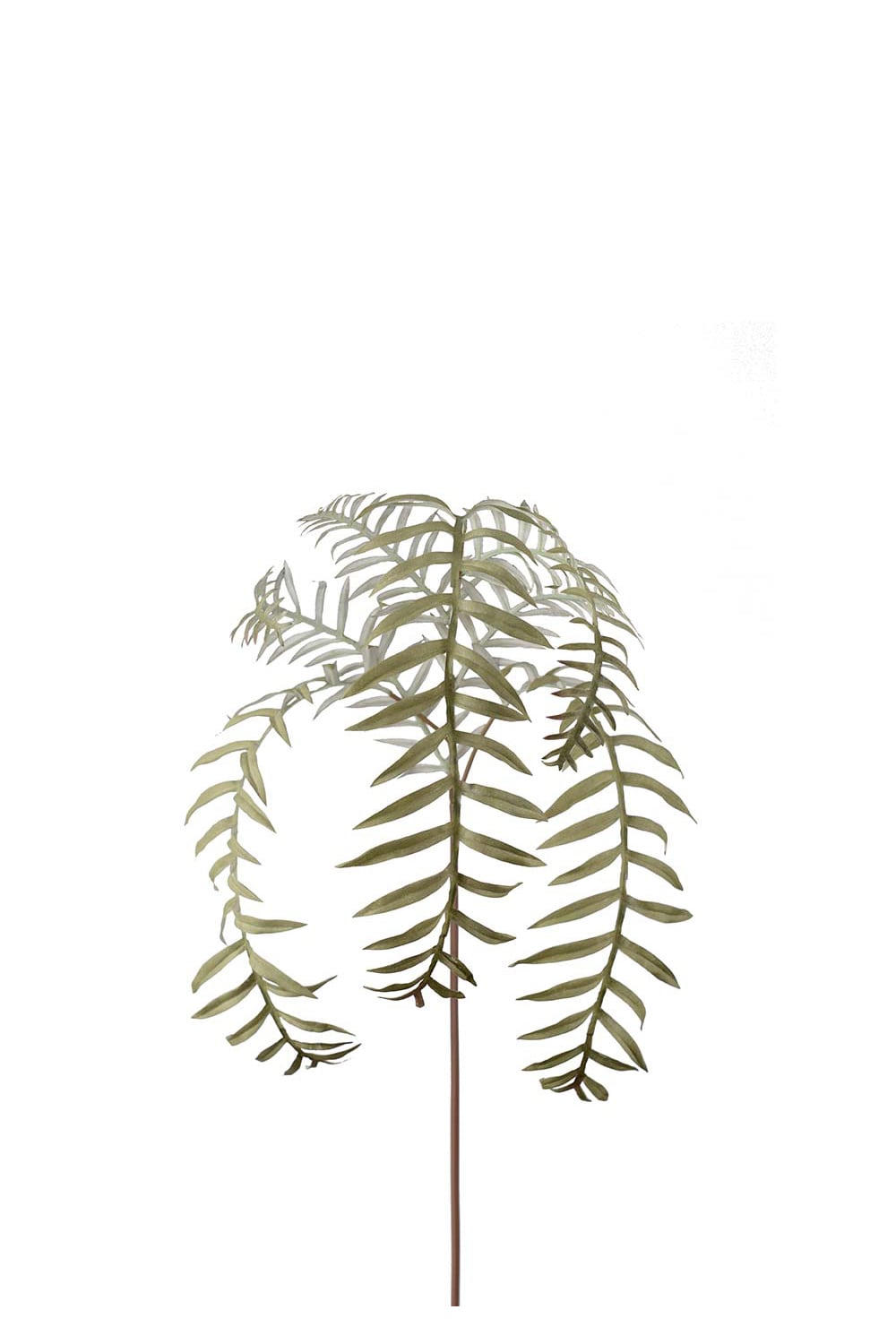 Konstgjord grön Ormbunksblad 50cm