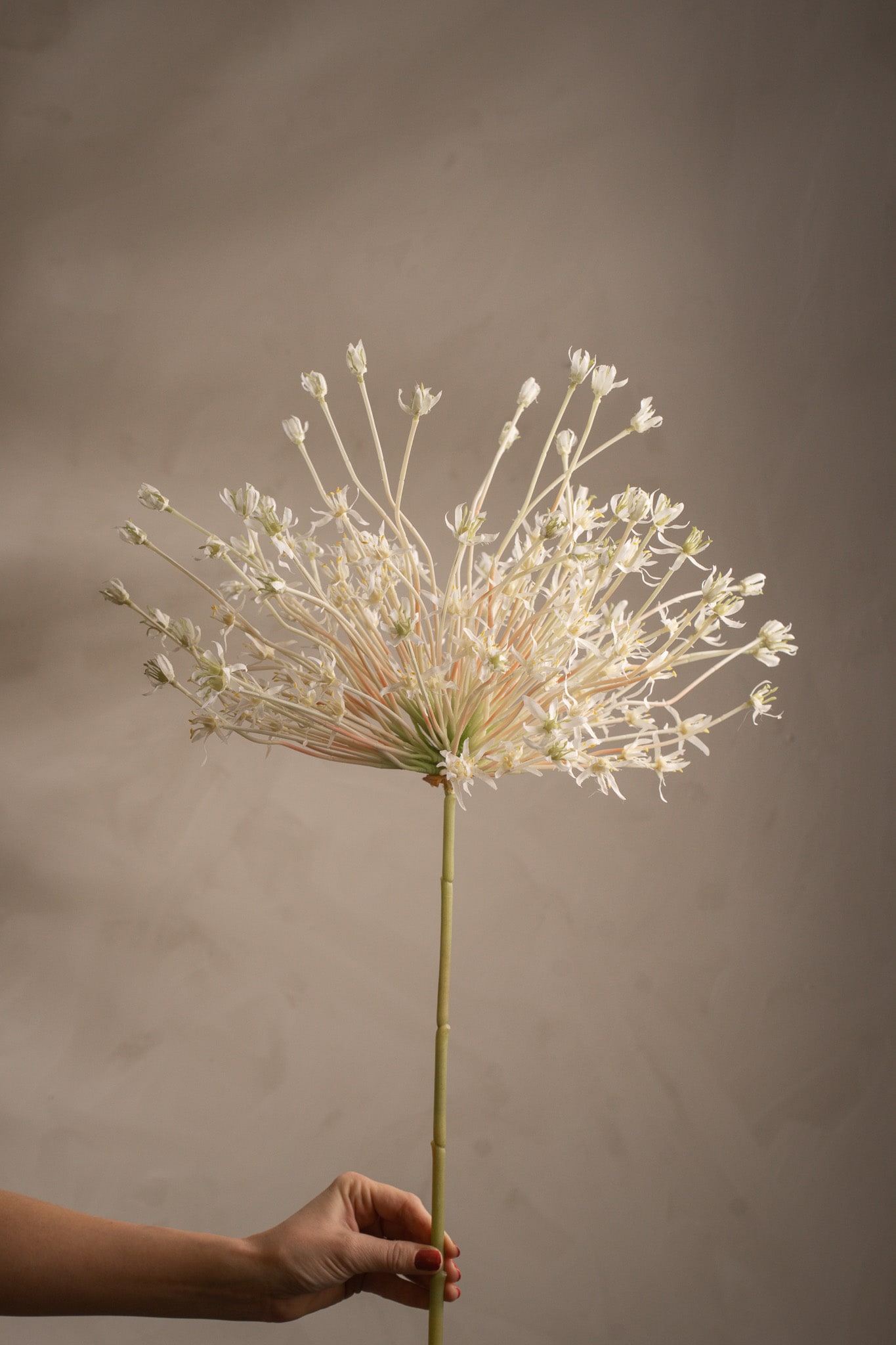Konstgjord vit Allium 125cm