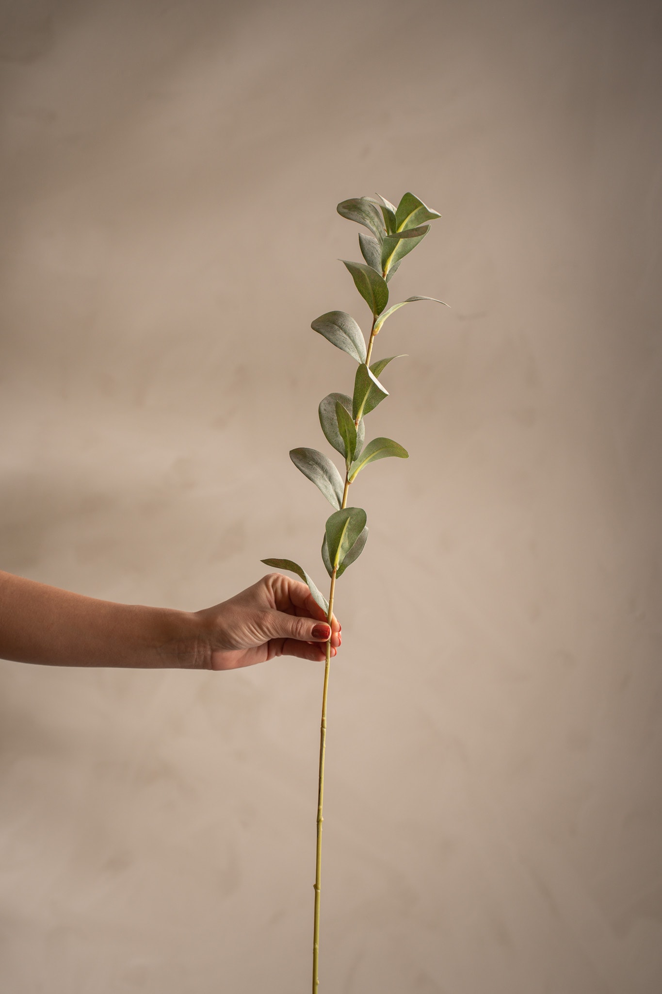 Konstgjord grå Ruscus 77cm