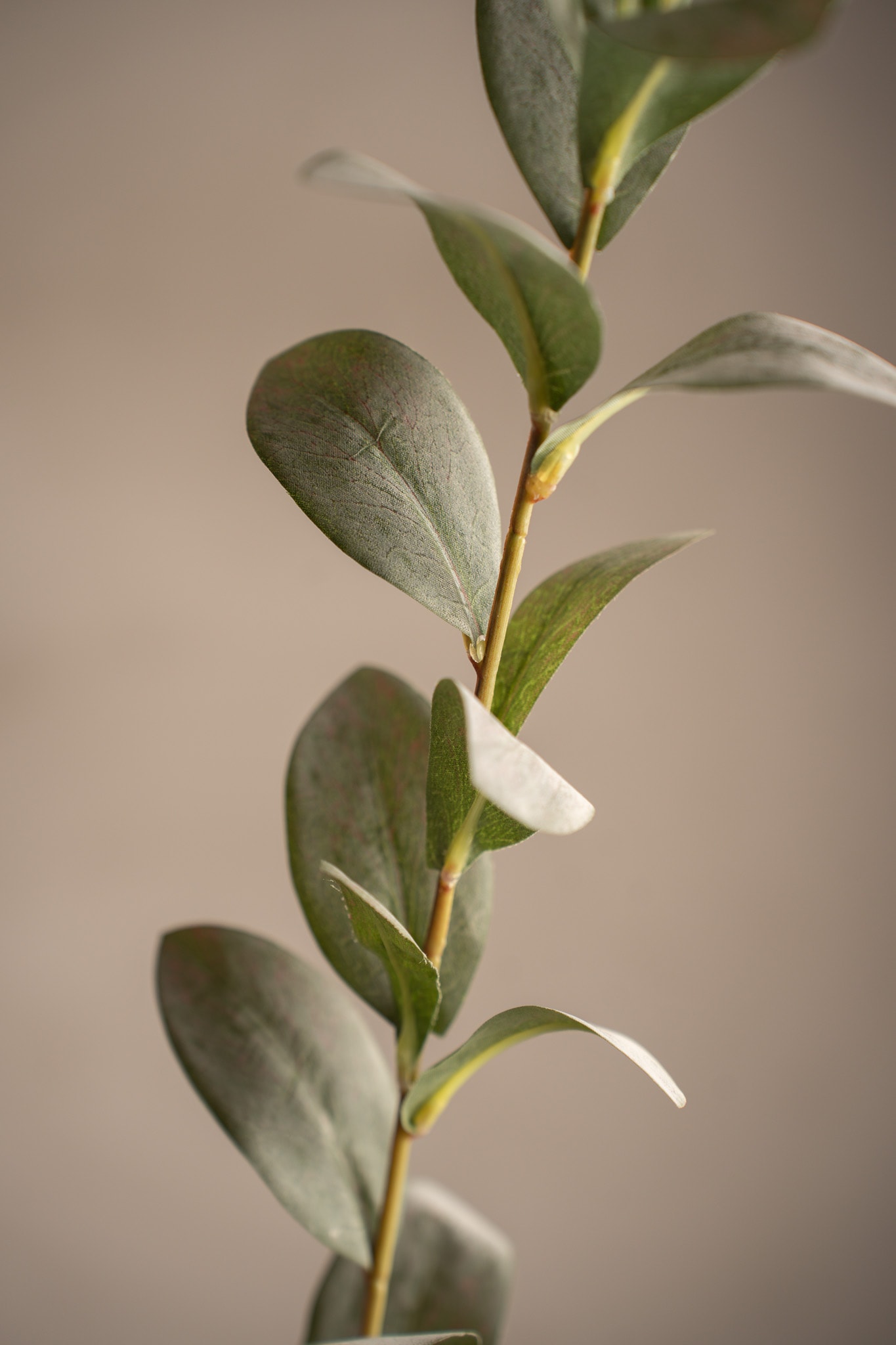 Konstgjord grå Ruscus 77cm
