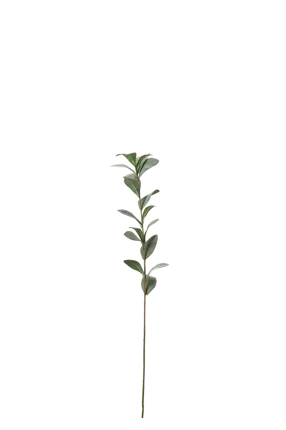 Konstgjord grå Ruscus 77cm